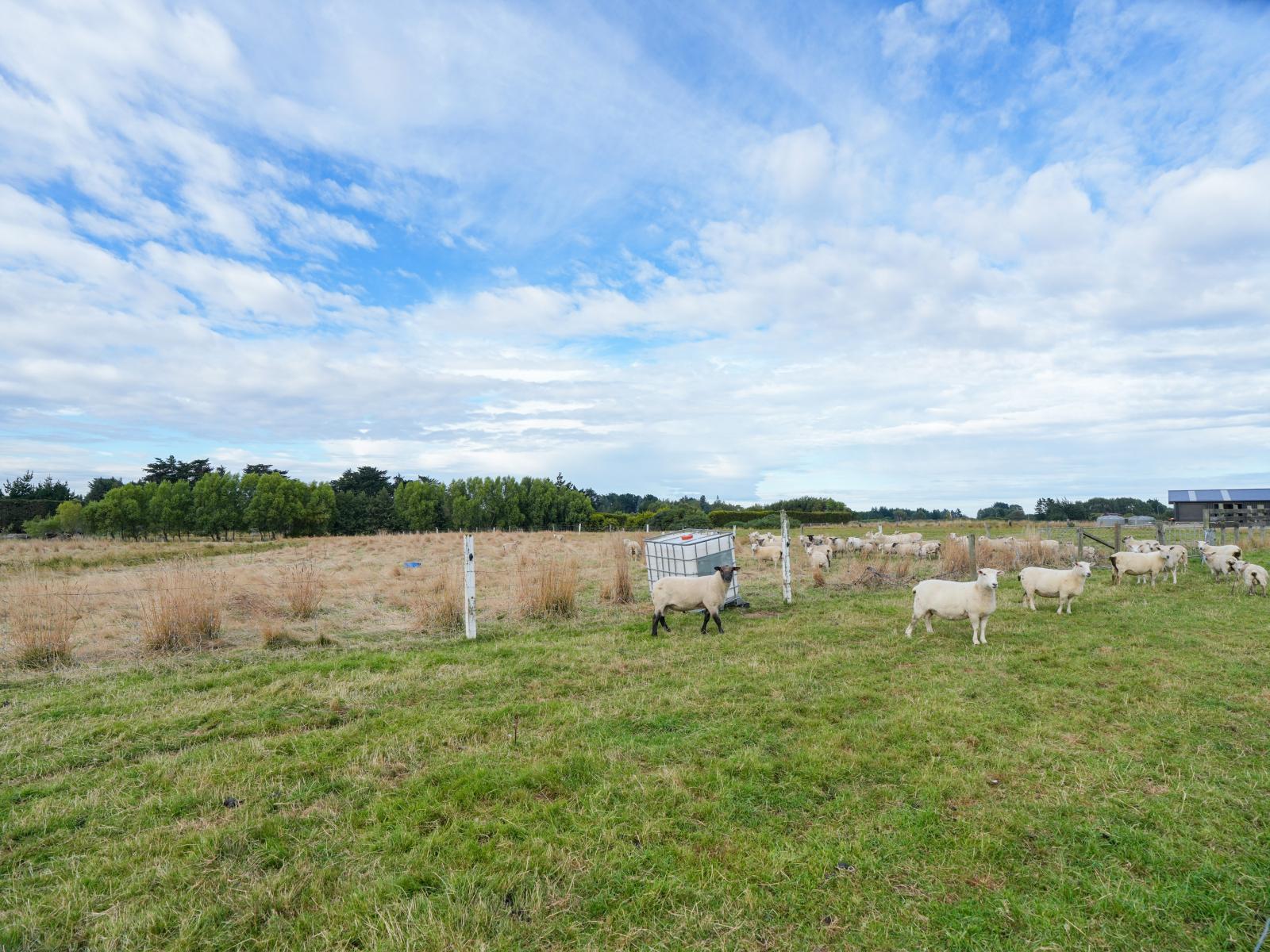 385 and 401 McQuarrie Street, Tisbury
