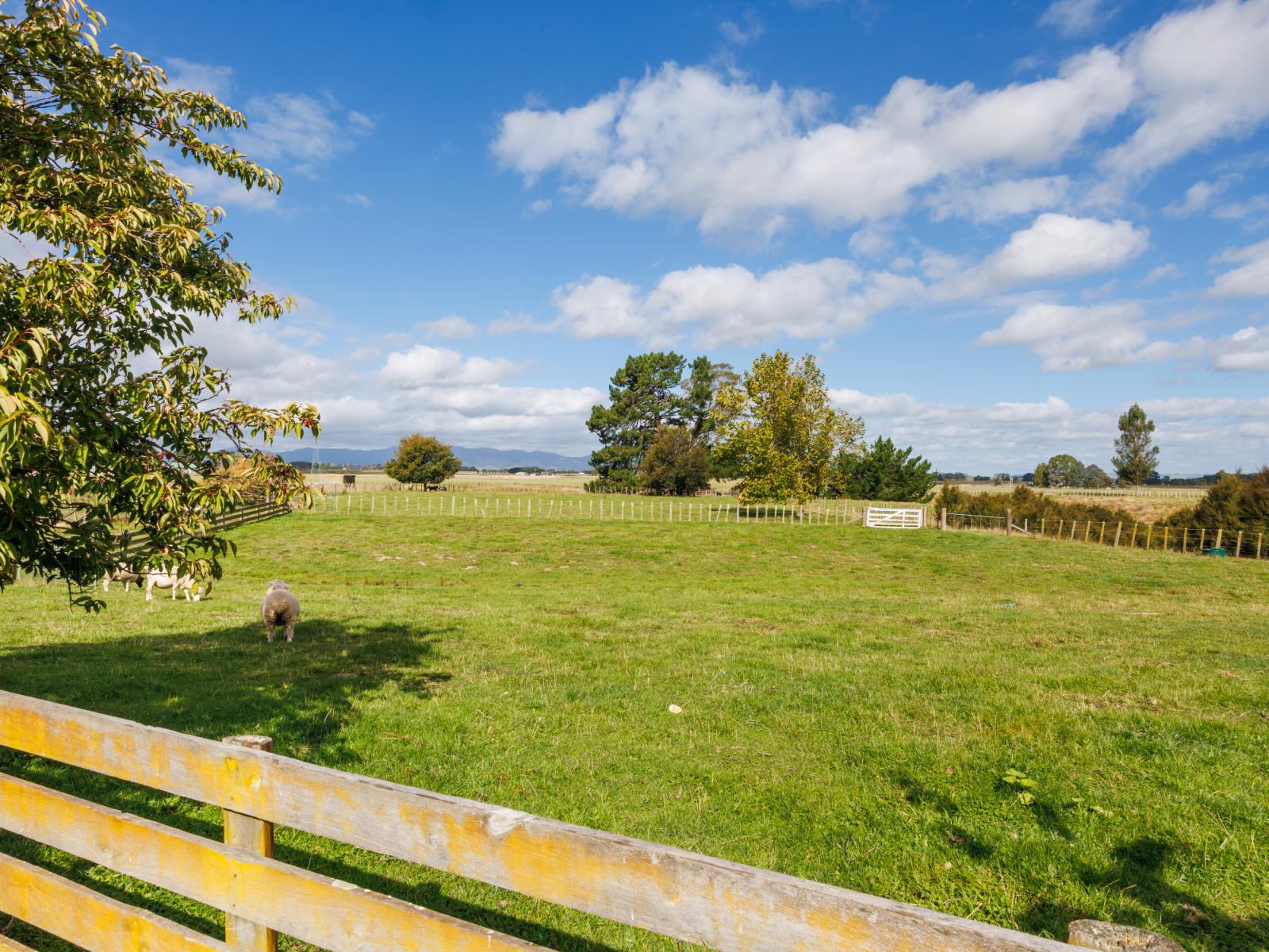 285 Forlong Road, Colyton