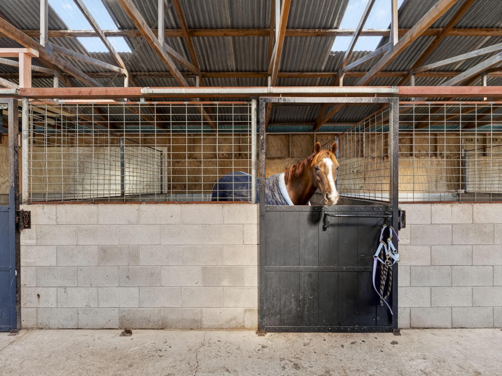 25 French Pass Road, Cambridge