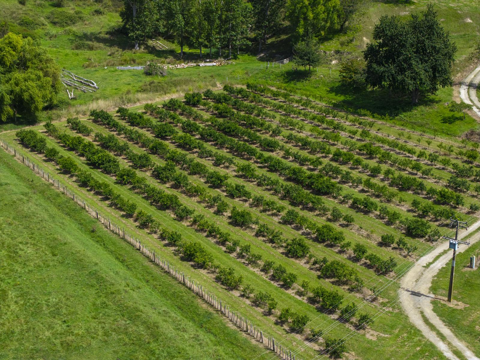 55 Harrington Road, Muriwai