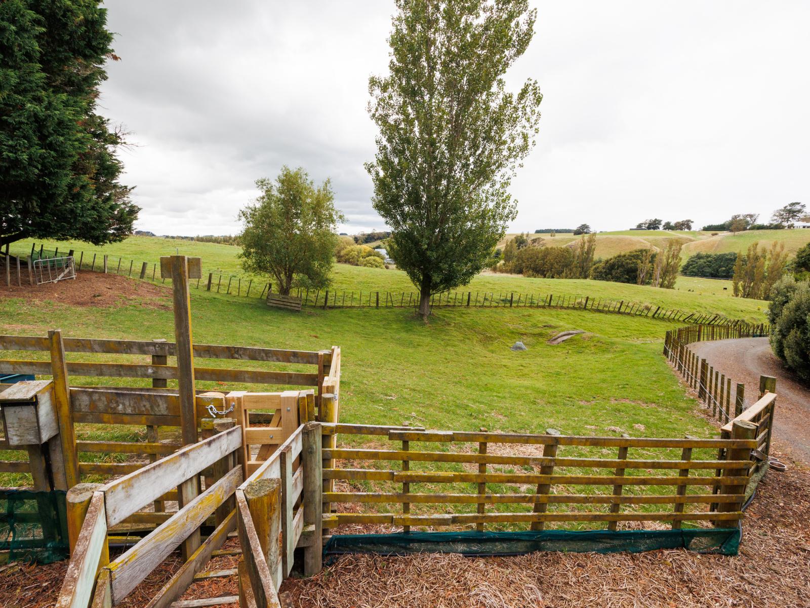 1141 Makino Road, Halcombe