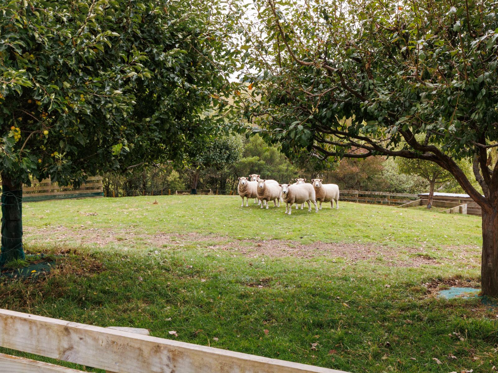 1141 Makino Road, Halcombe