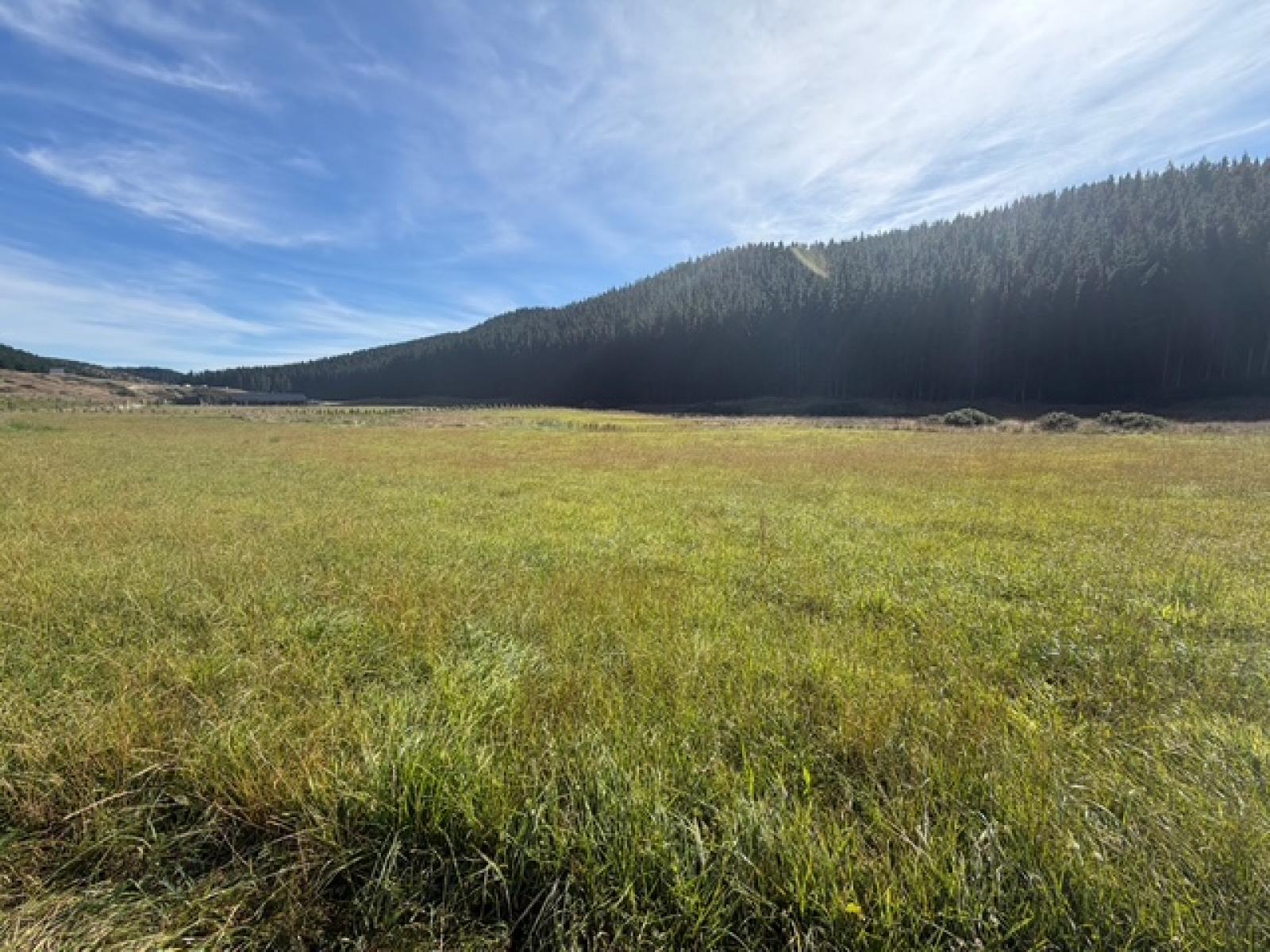 Lot 2 Boundary Creek Road, Oamaru