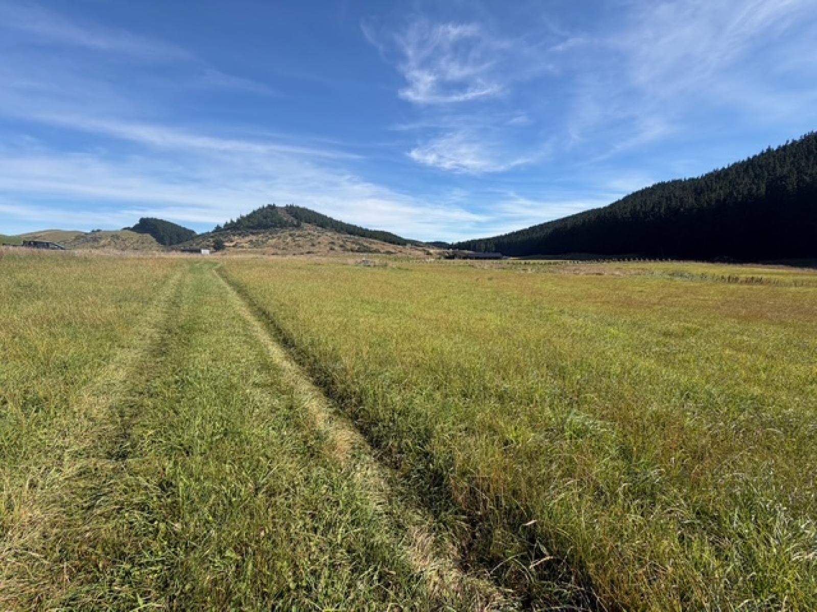 Lot 2 Boundary Creek Road, Oamaru