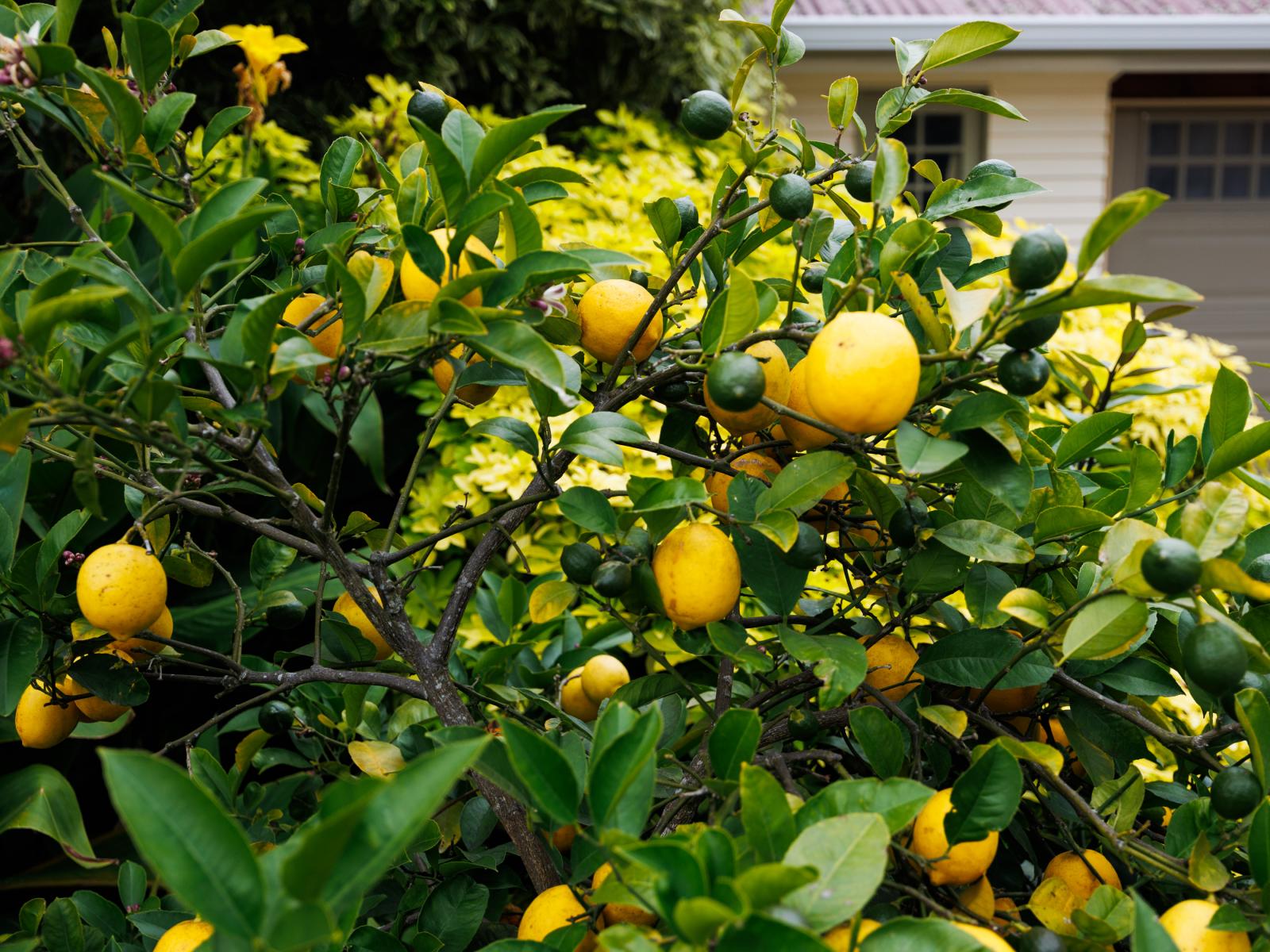 808 Kimbolton Road, Feilding