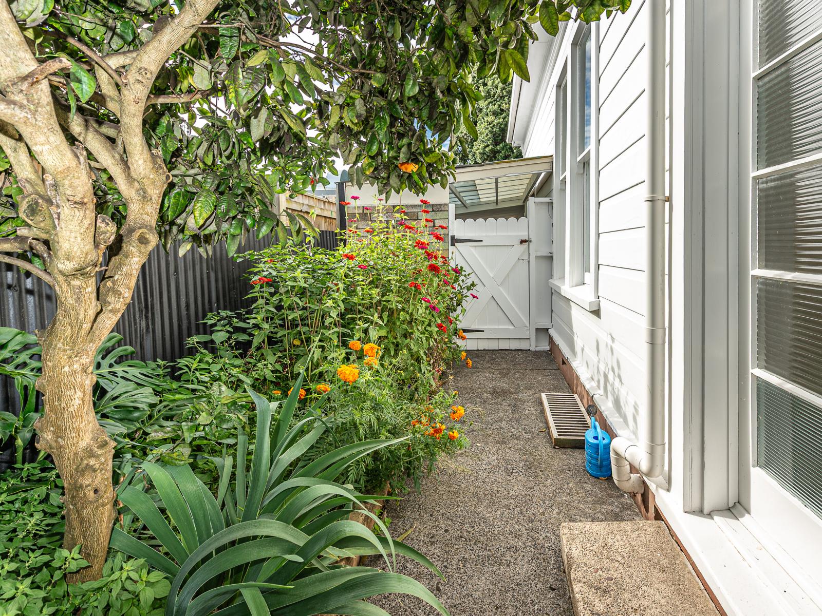 46 Glasgow Street, Whanganui