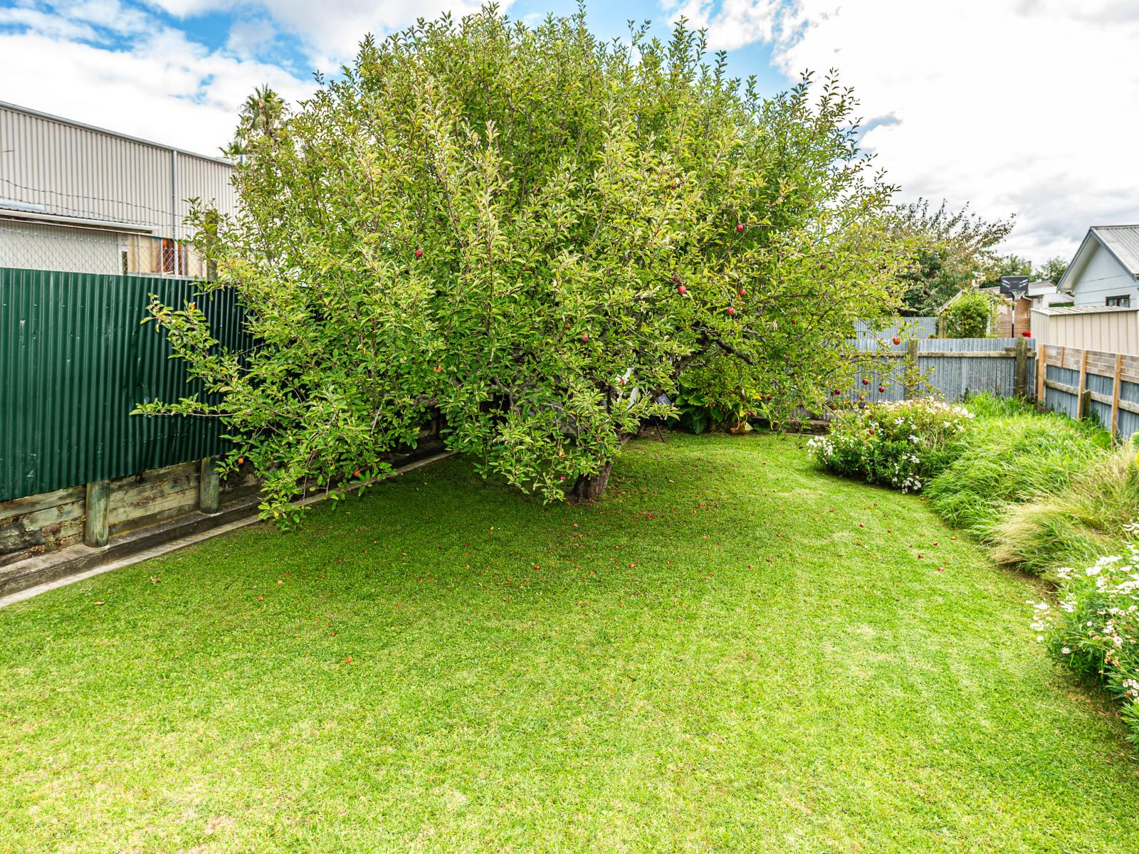 6 Park Place, Whanganui