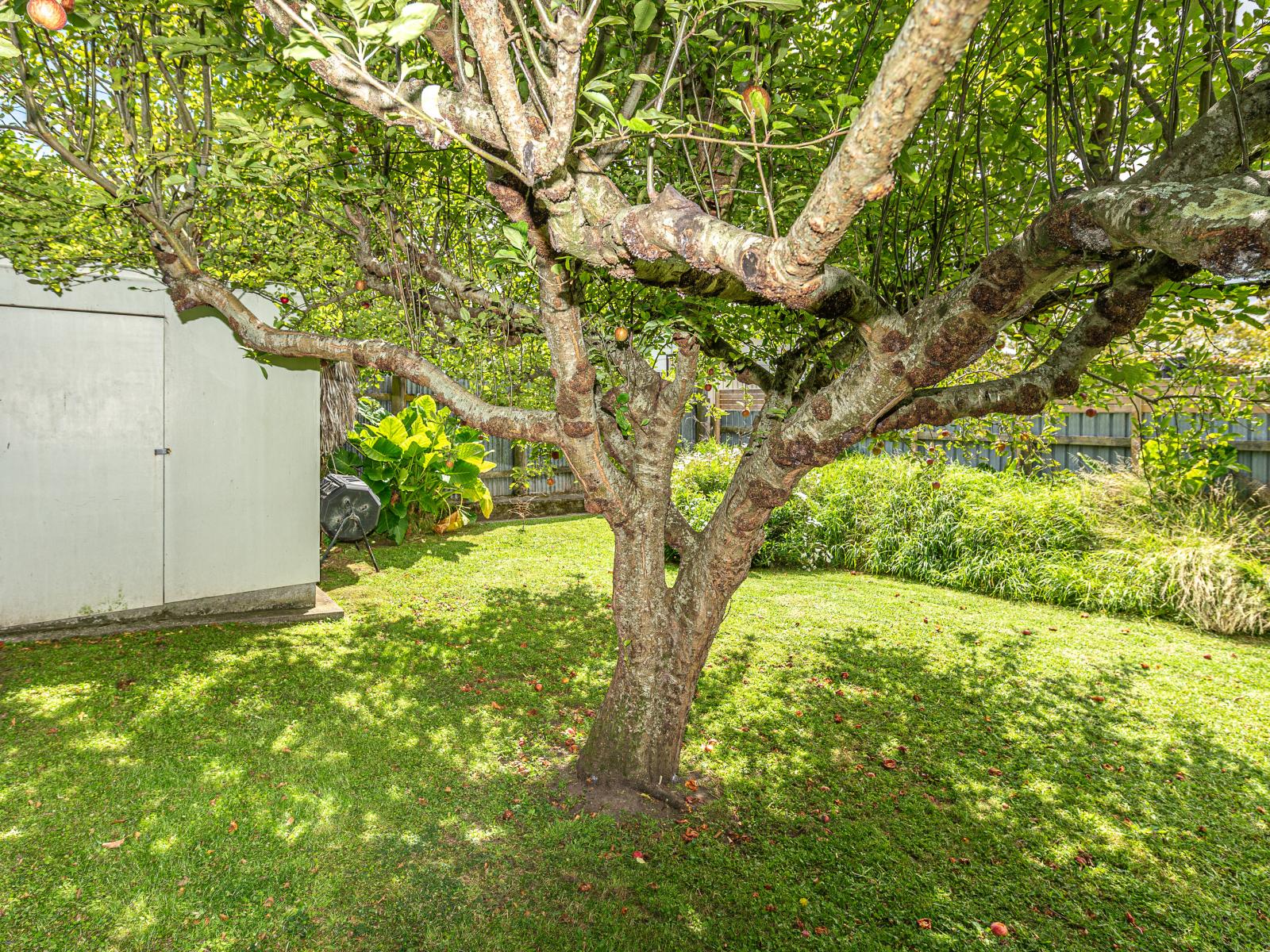 6 Park Place, Whanganui
