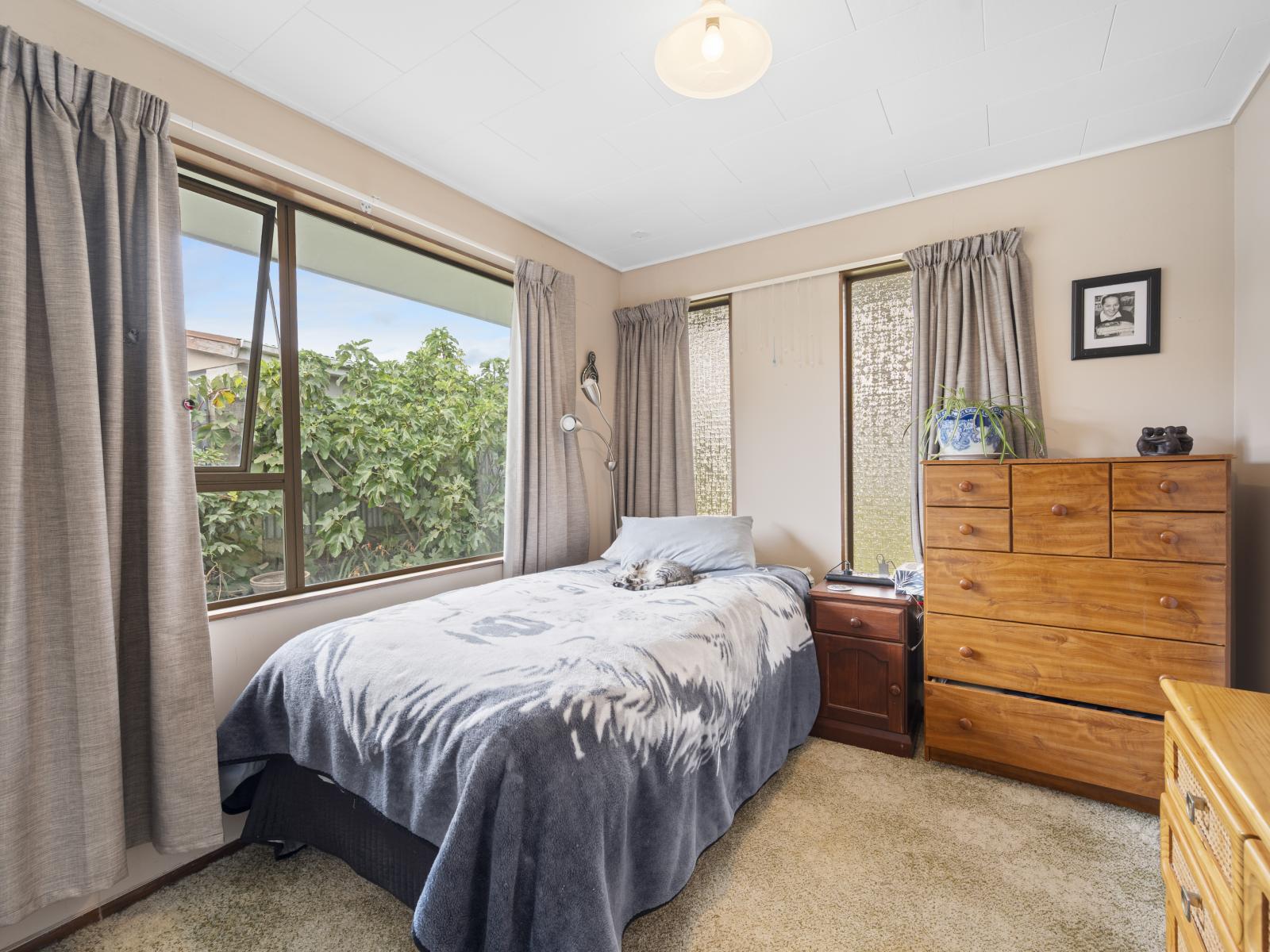 165 Chatham Road, Flaxmere