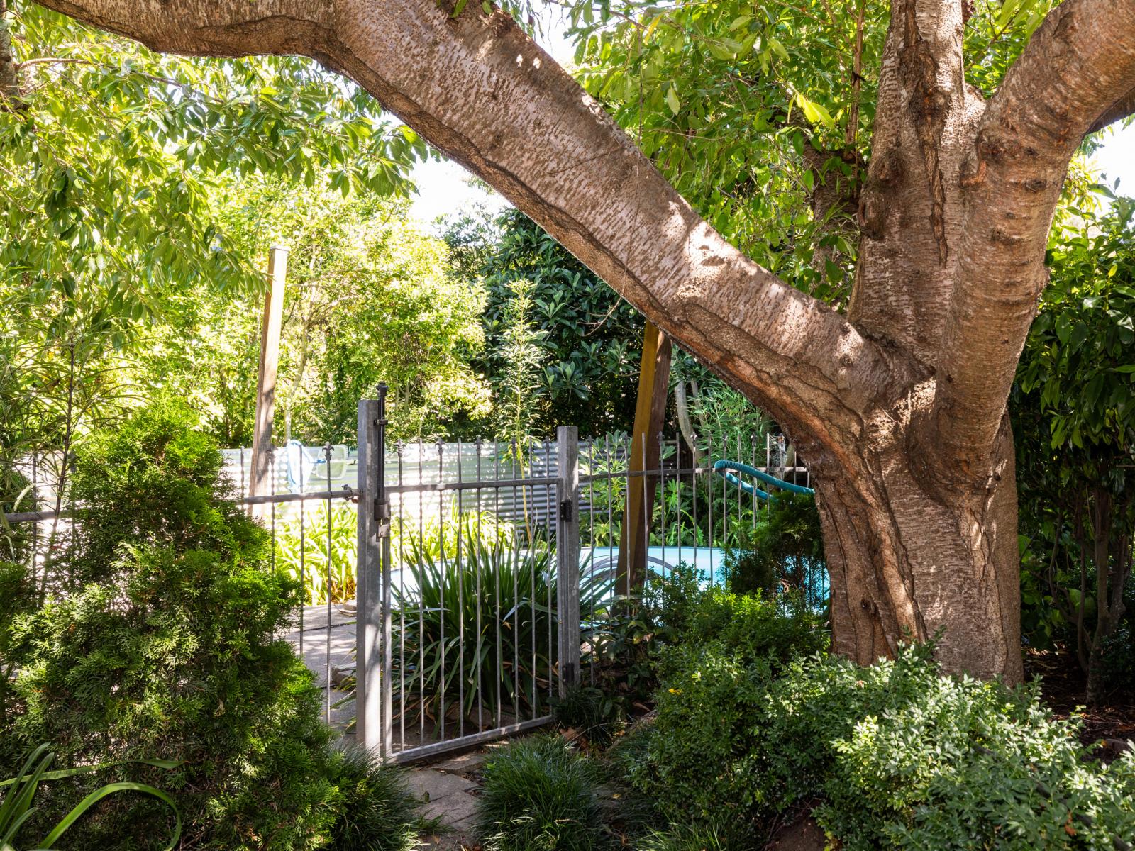 1209C Ada Street, Parkvale