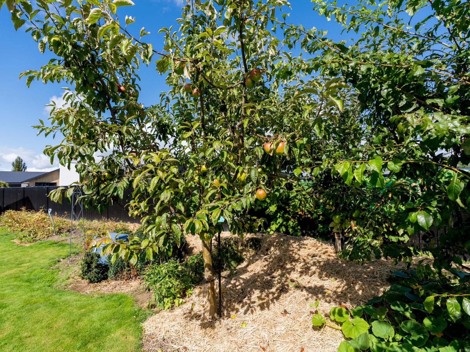 13 Franks Place, Outram