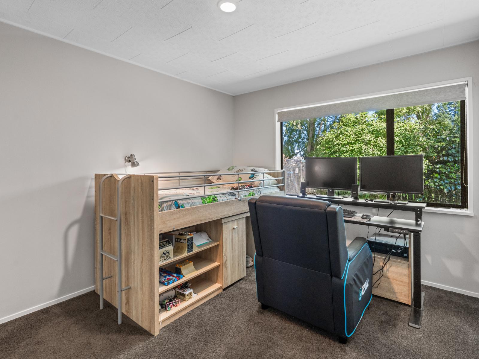 19 Tirohanga Road, Mosgiel