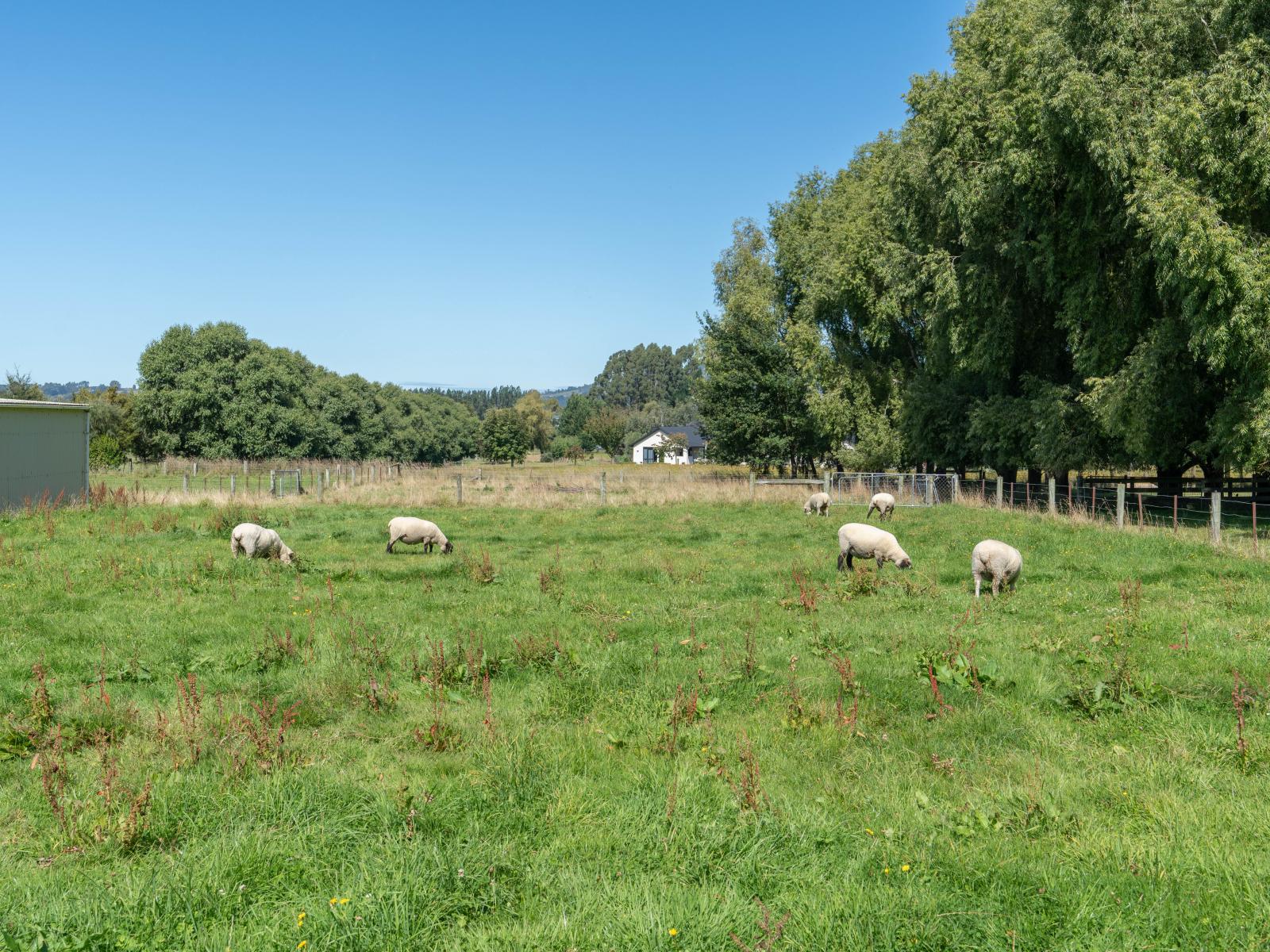 19 Tirohanga Road, Mosgiel