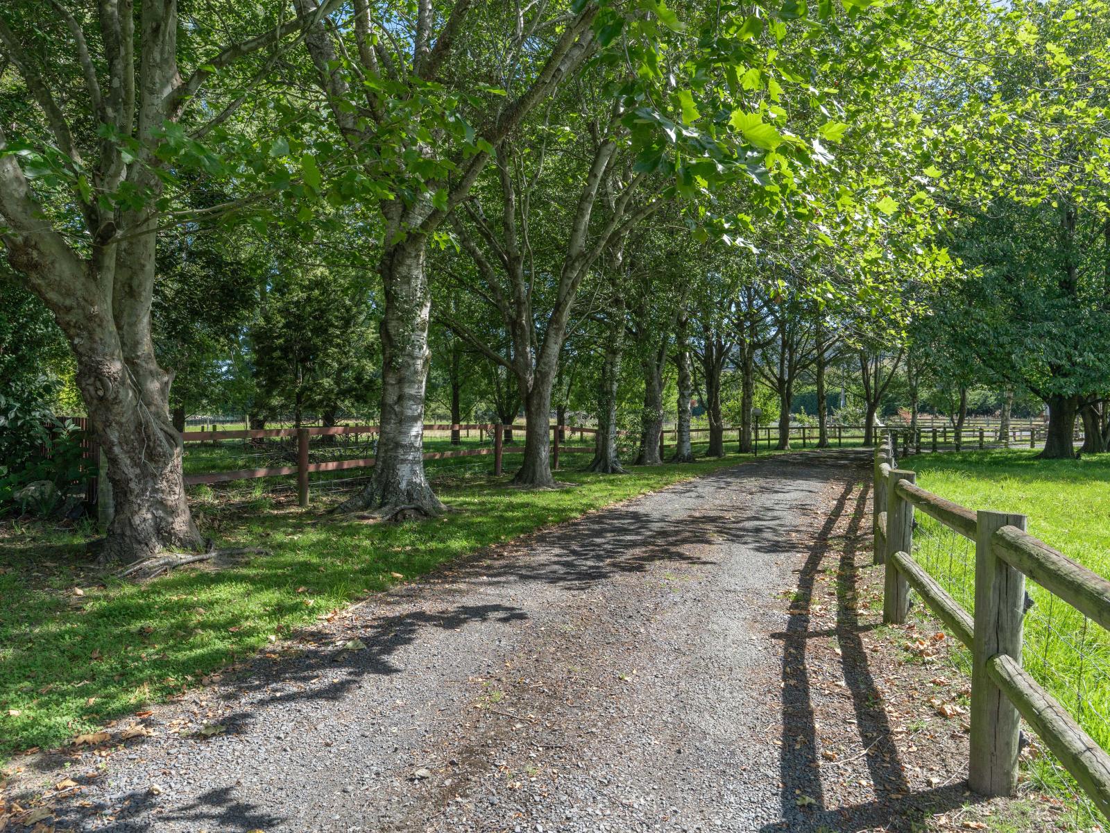 19 Tirohanga Road, Mosgiel