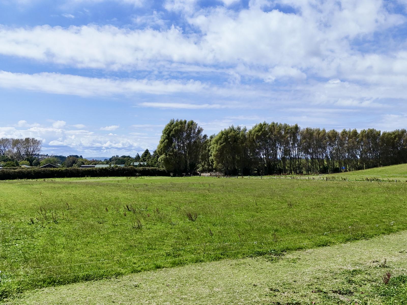 114 Dudley Road Upper, Inglewood