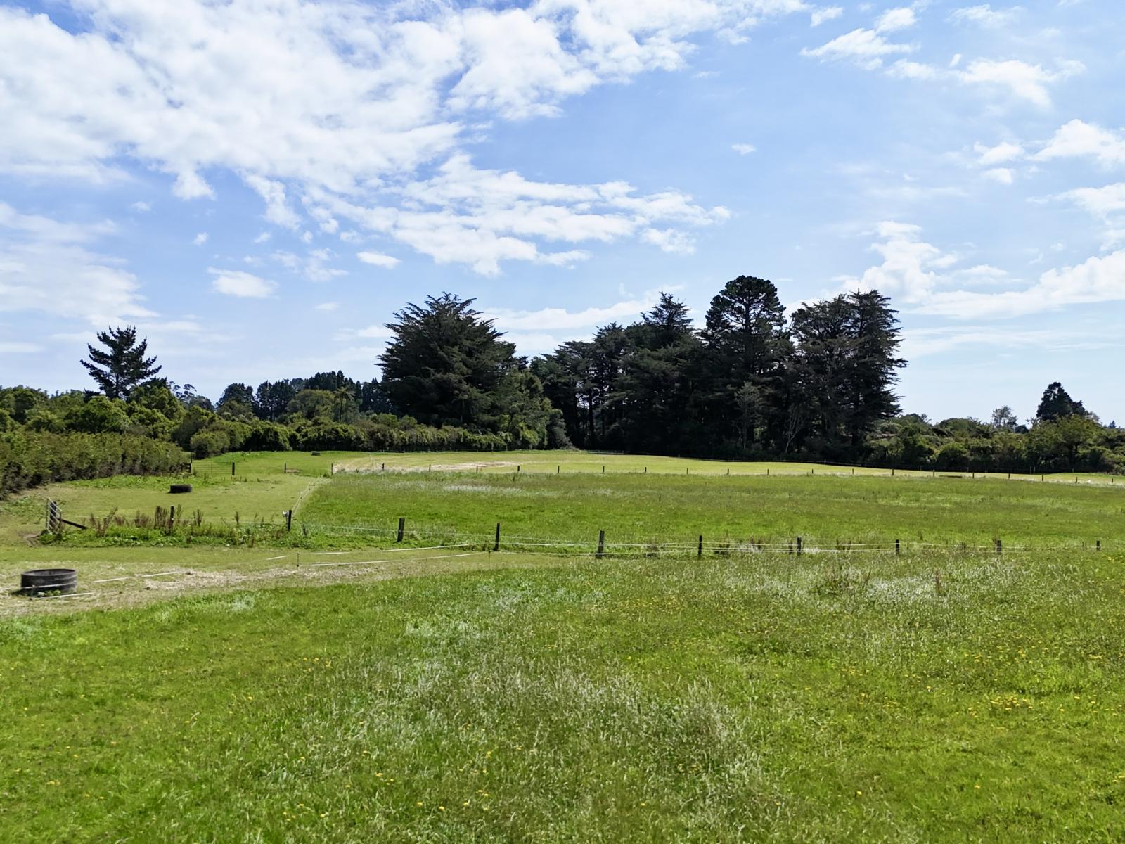 114 Dudley Road Upper, Inglewood