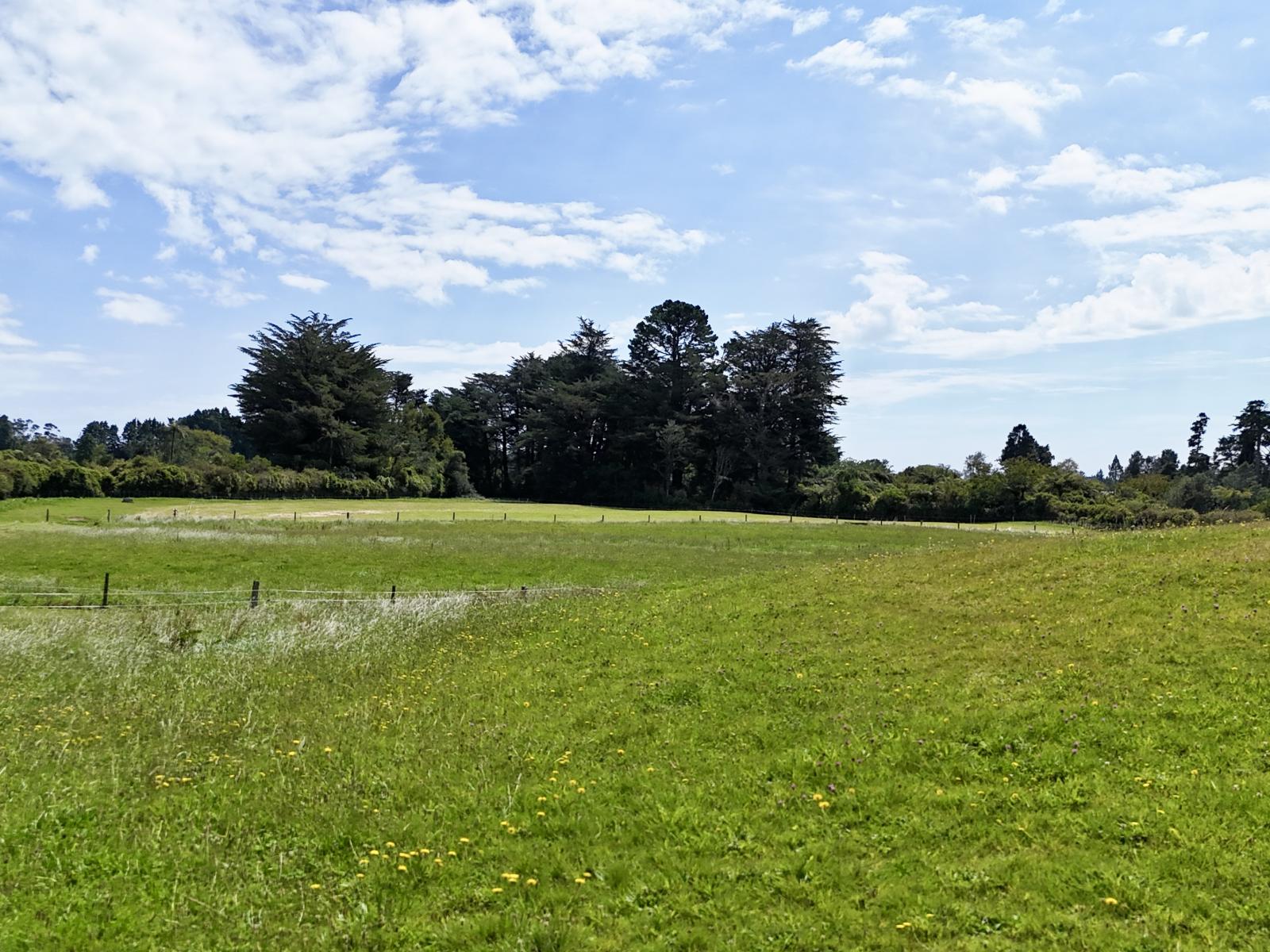 114 Dudley Road Upper, Inglewood