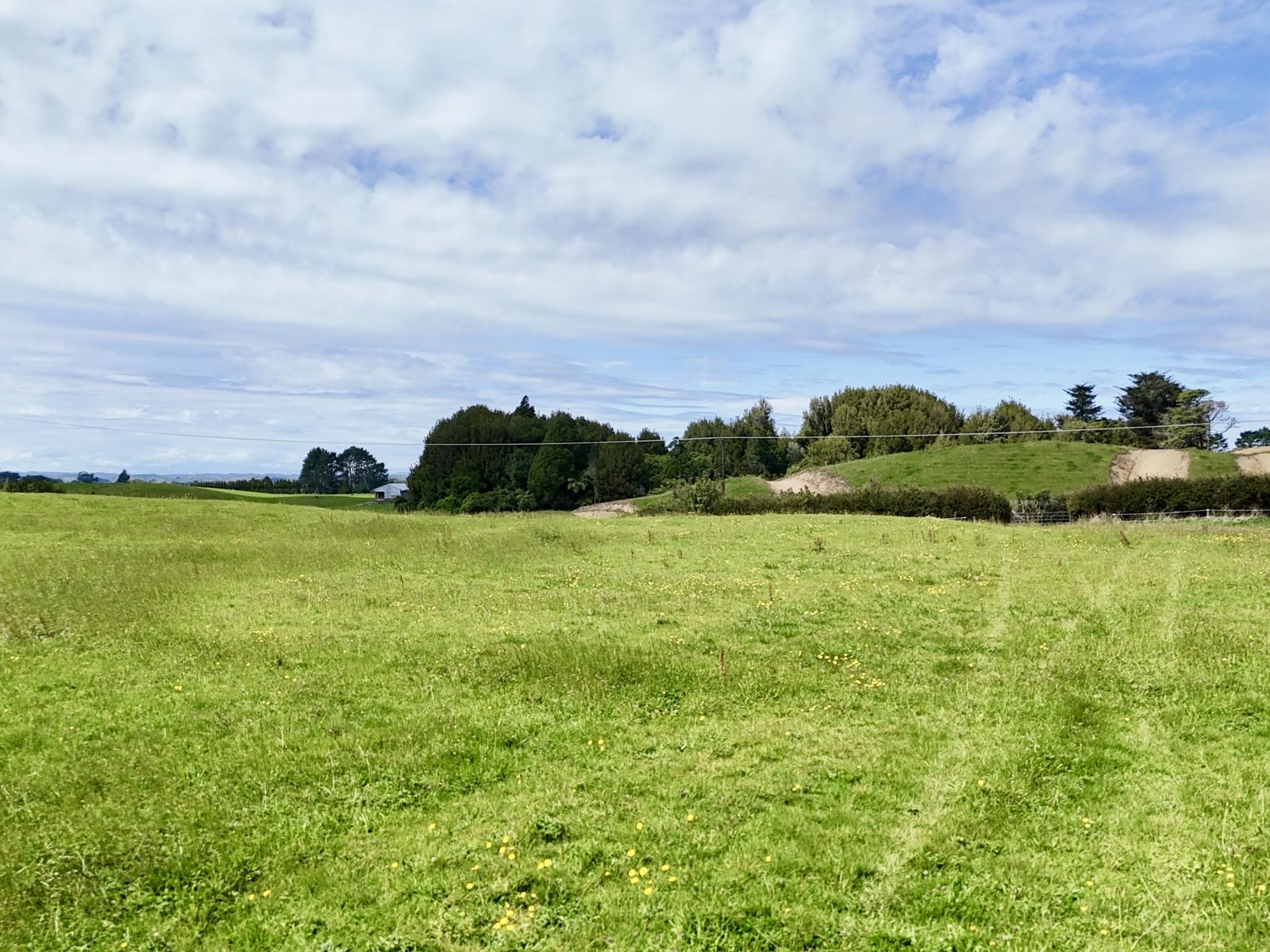 114 Dudley Road Upper, Inglewood