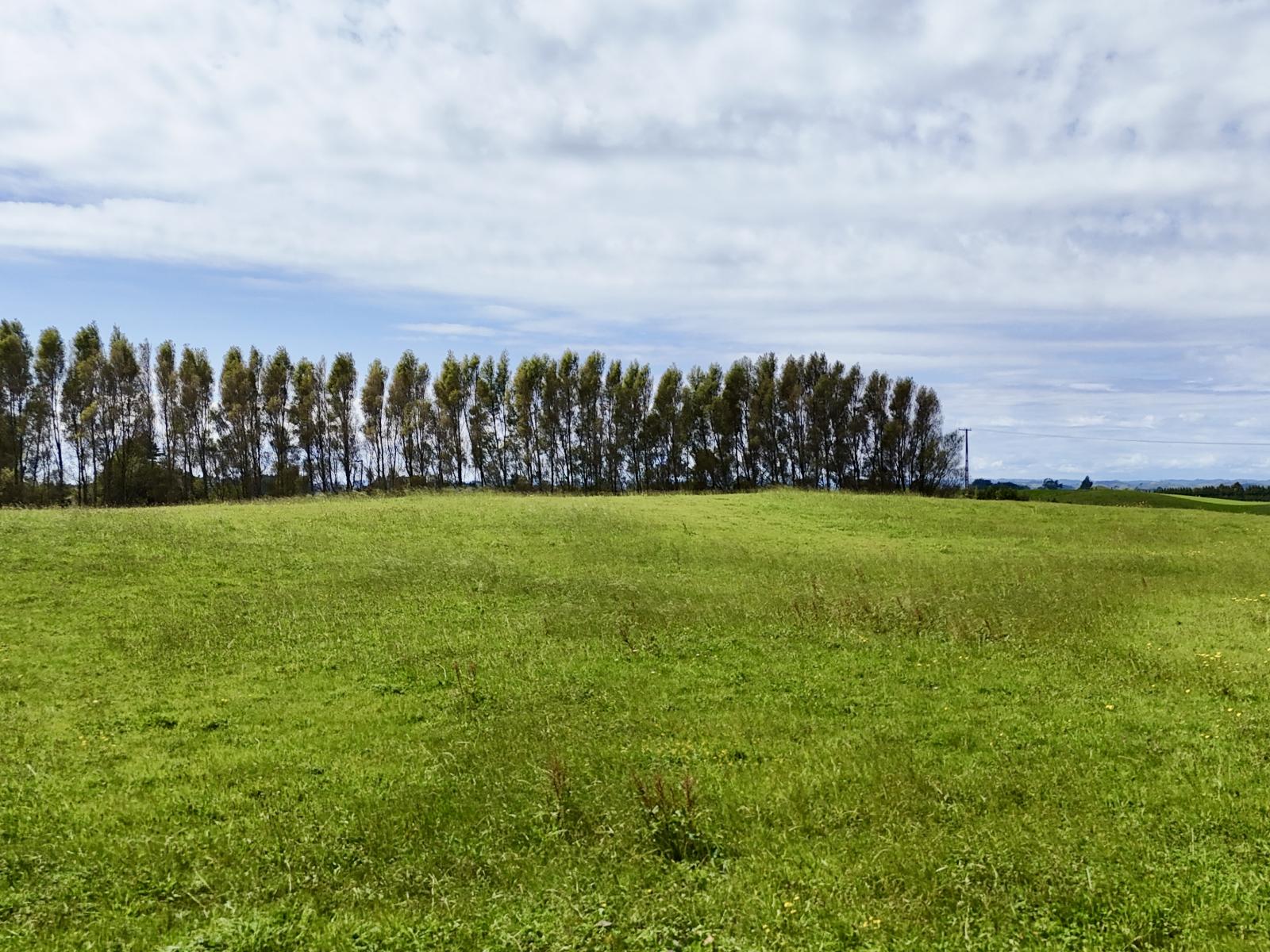 114 Dudley Road Upper, Inglewood