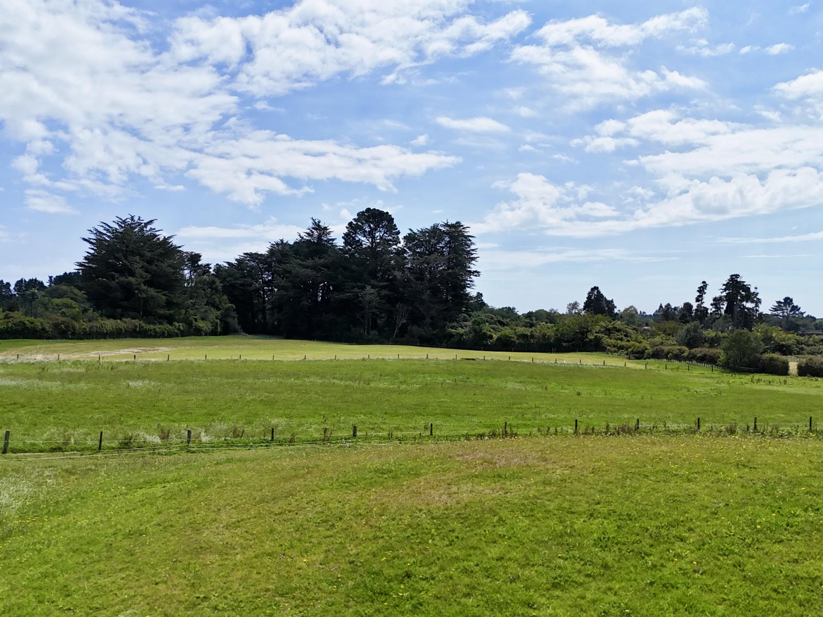 114 Dudley Road Upper, Inglewood