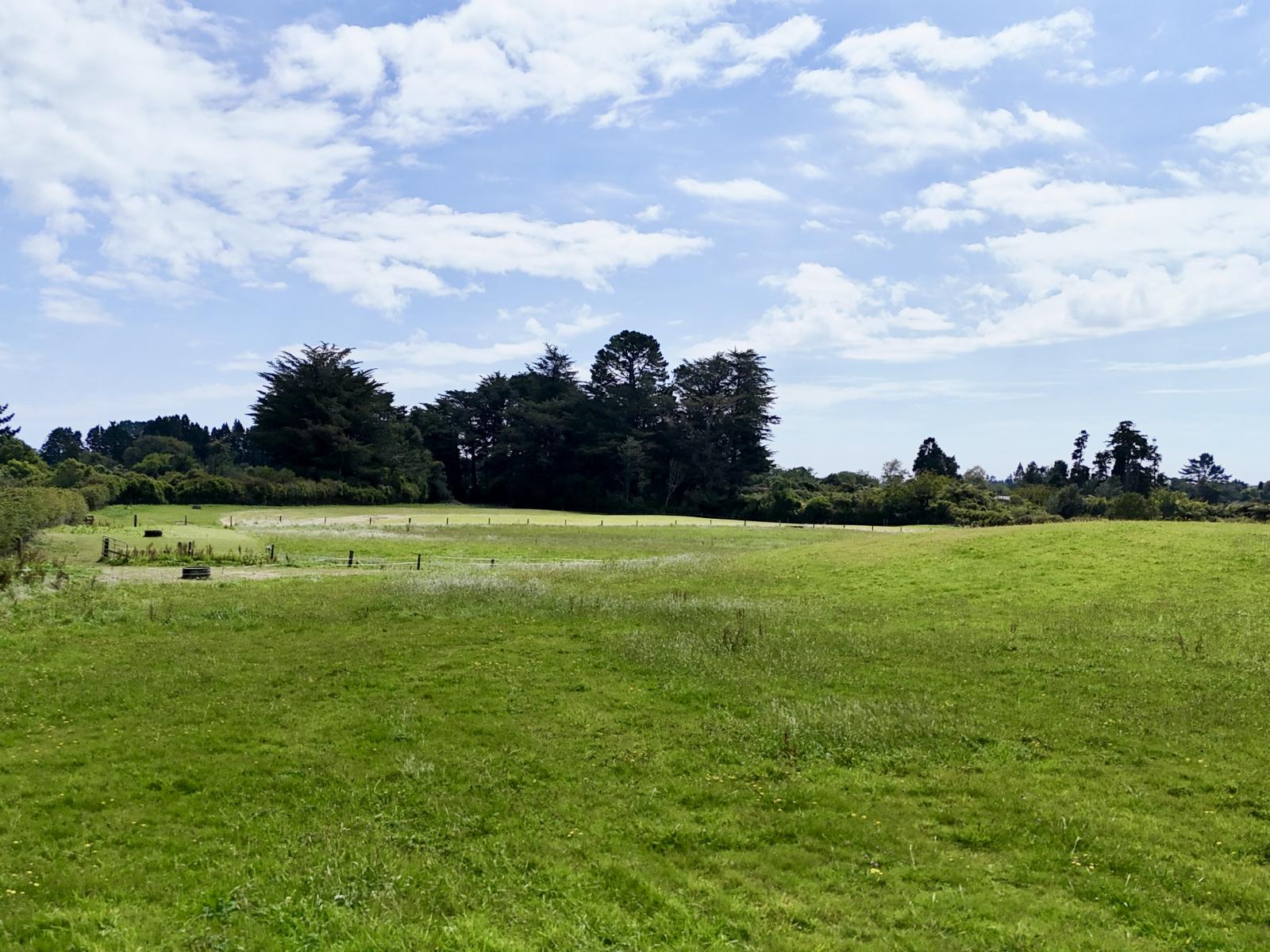 114 Dudley Road Upper, Inglewood