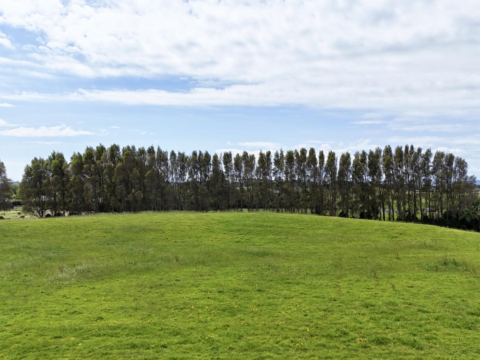 114 Dudley Road Upper, Inglewood