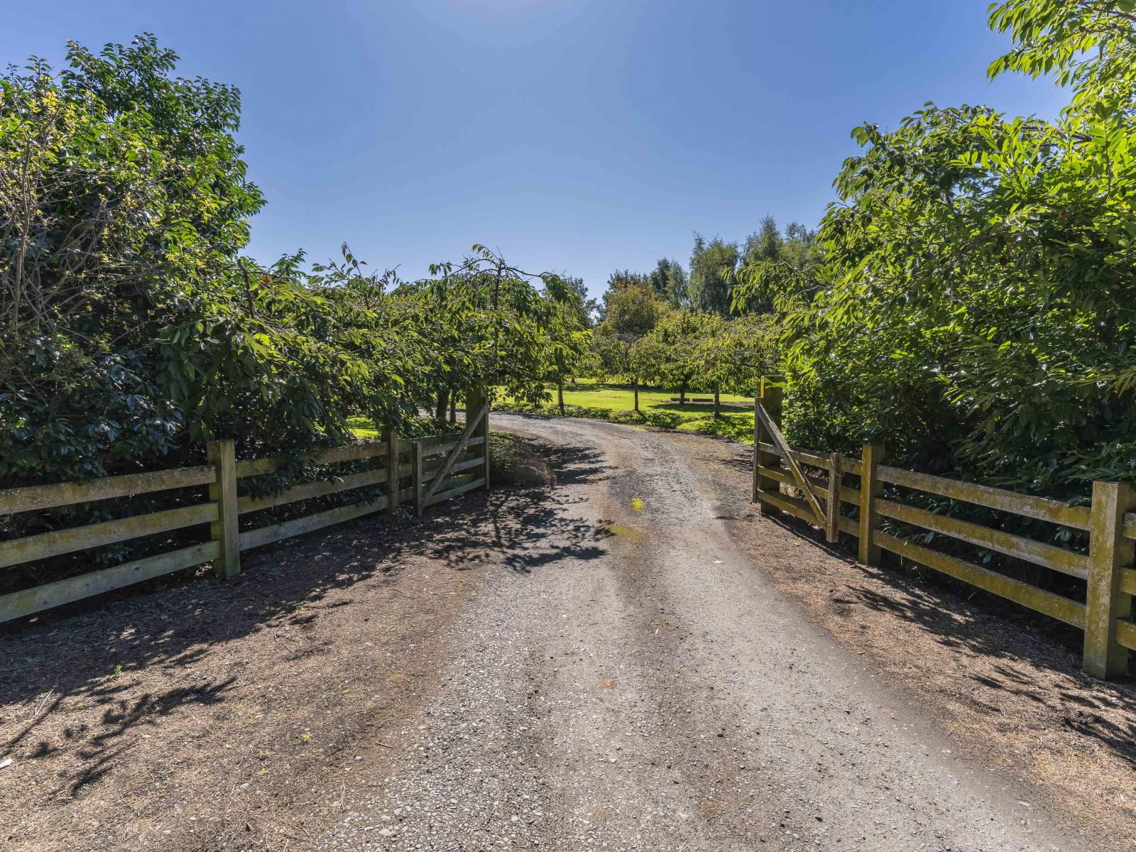 12 Tirohanga Road, North Taieri