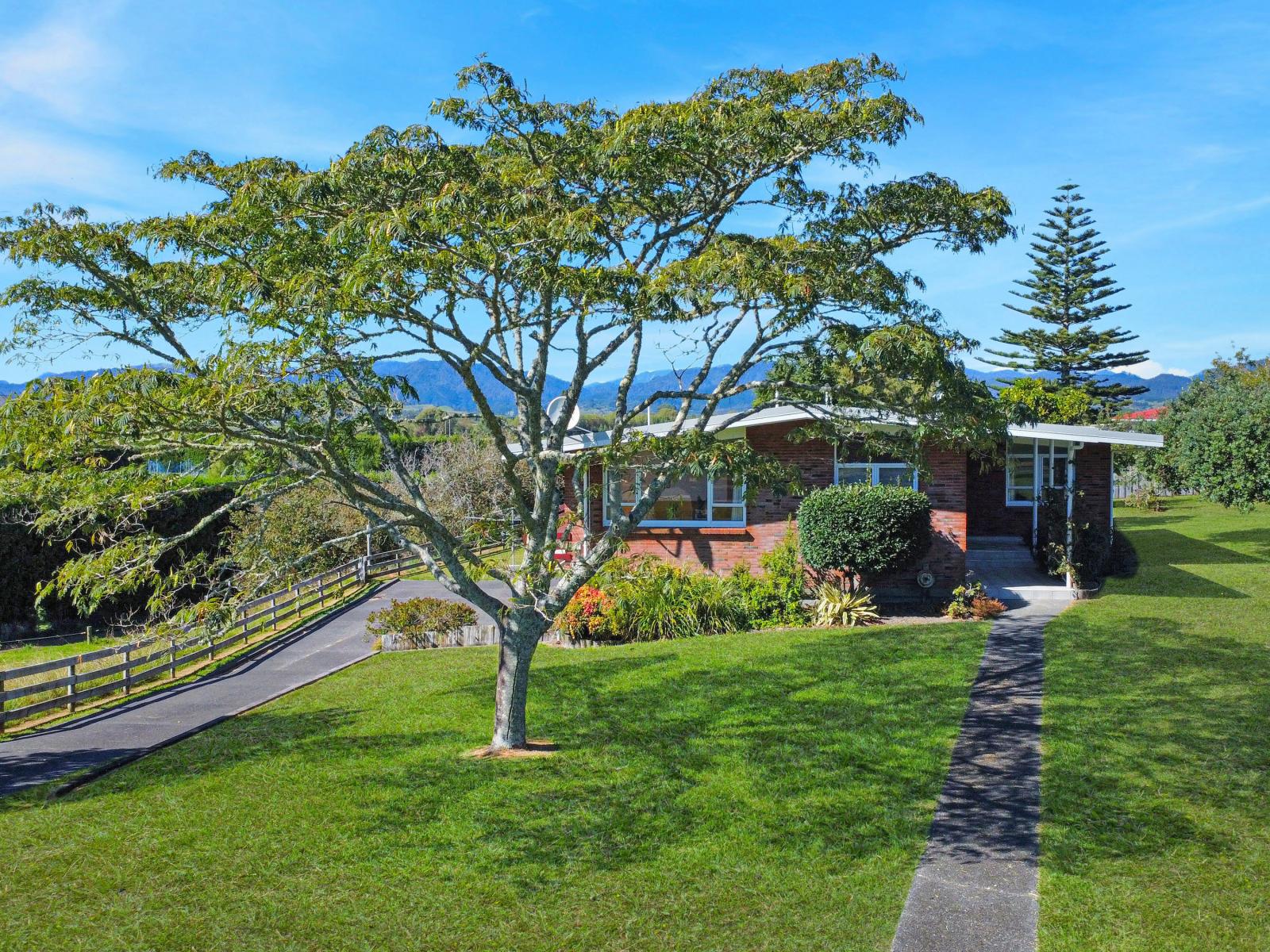 6 Pilkington Place, Opotiki