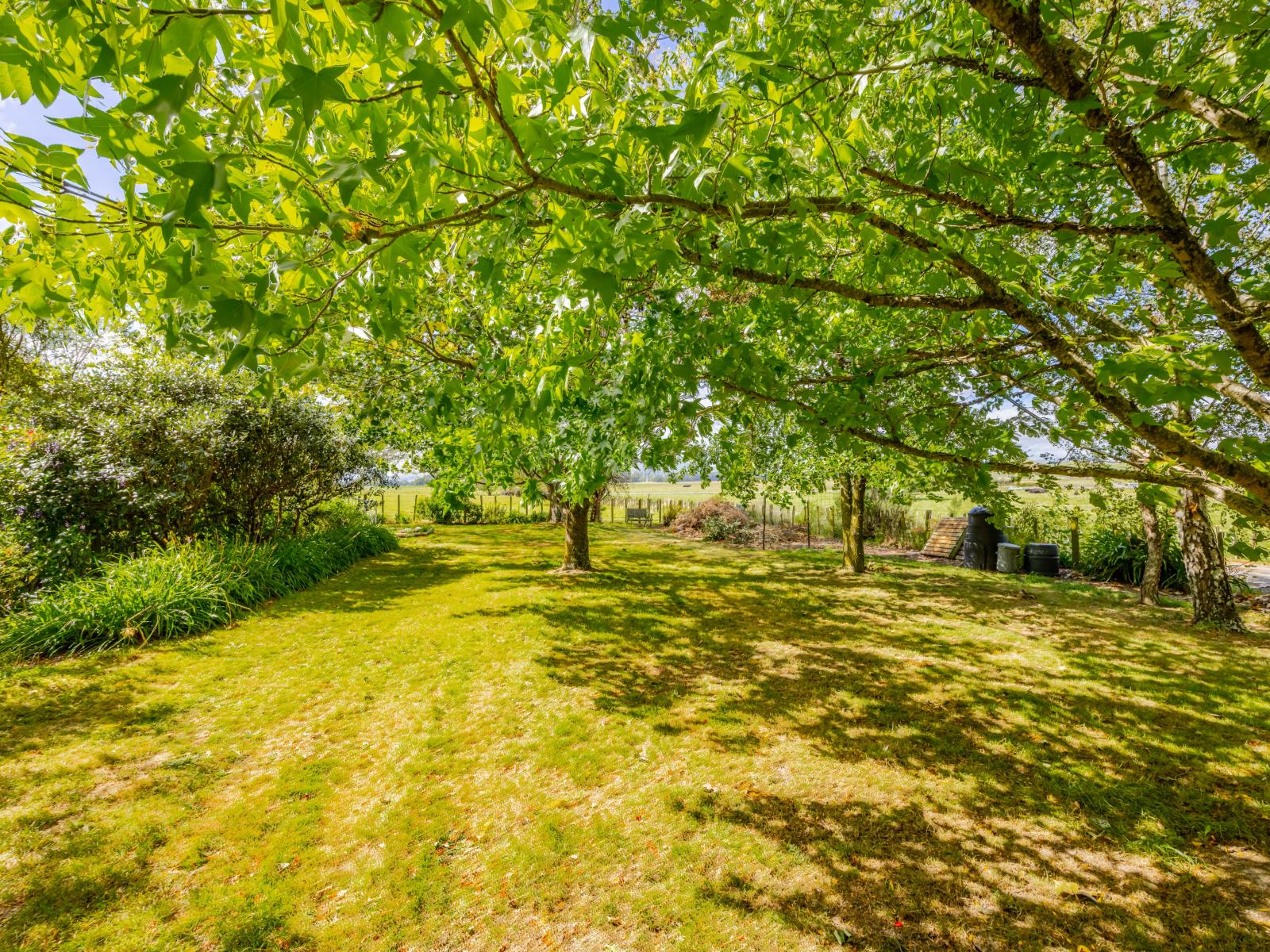 37 Ellison Street, Otane