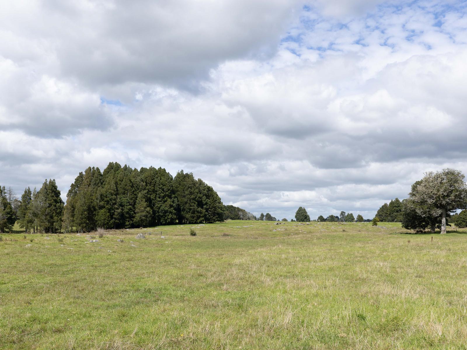 503 Puhipuhi Road, Whakapara