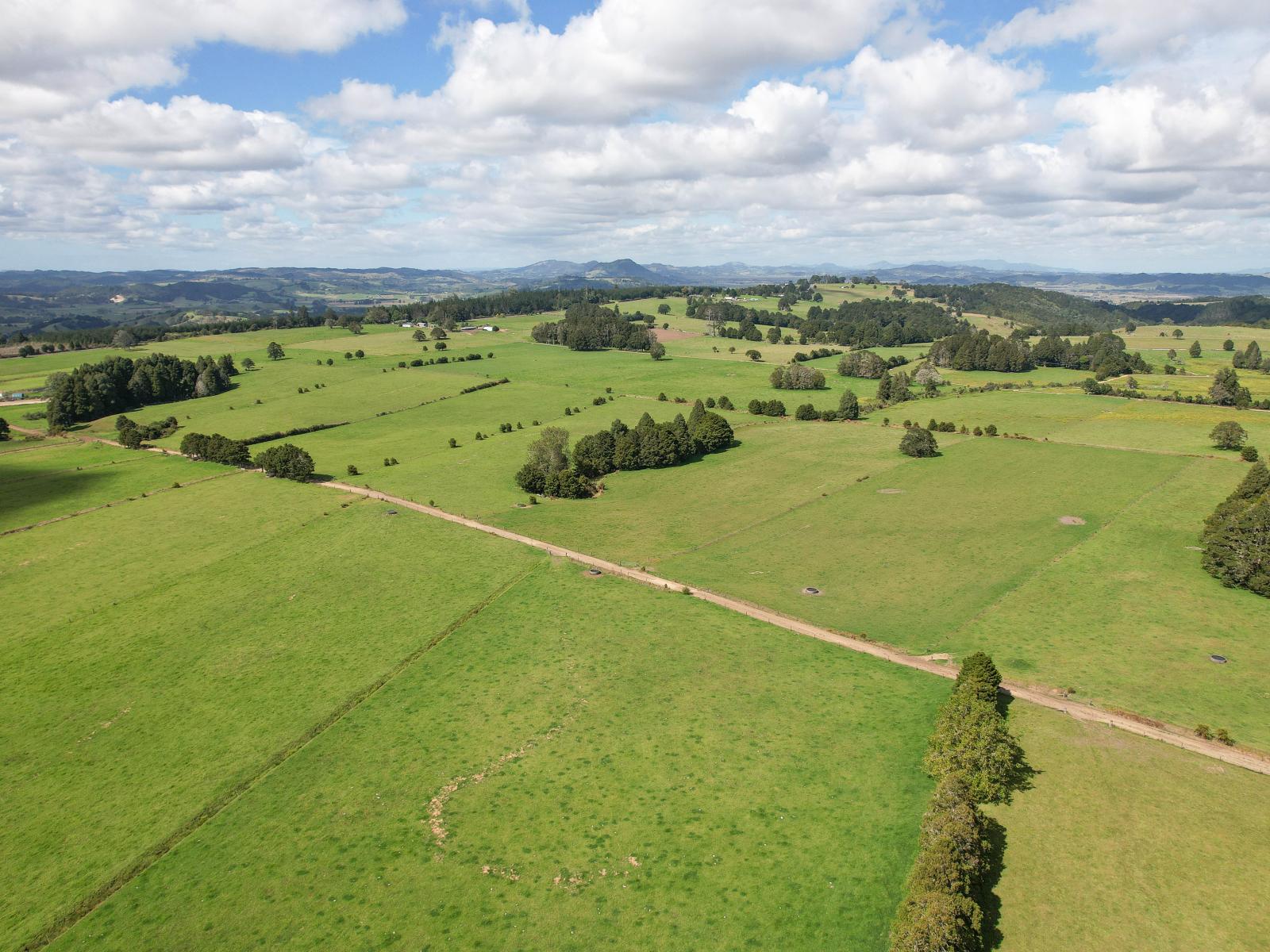 503 Puhipuhi Road, Whakapara