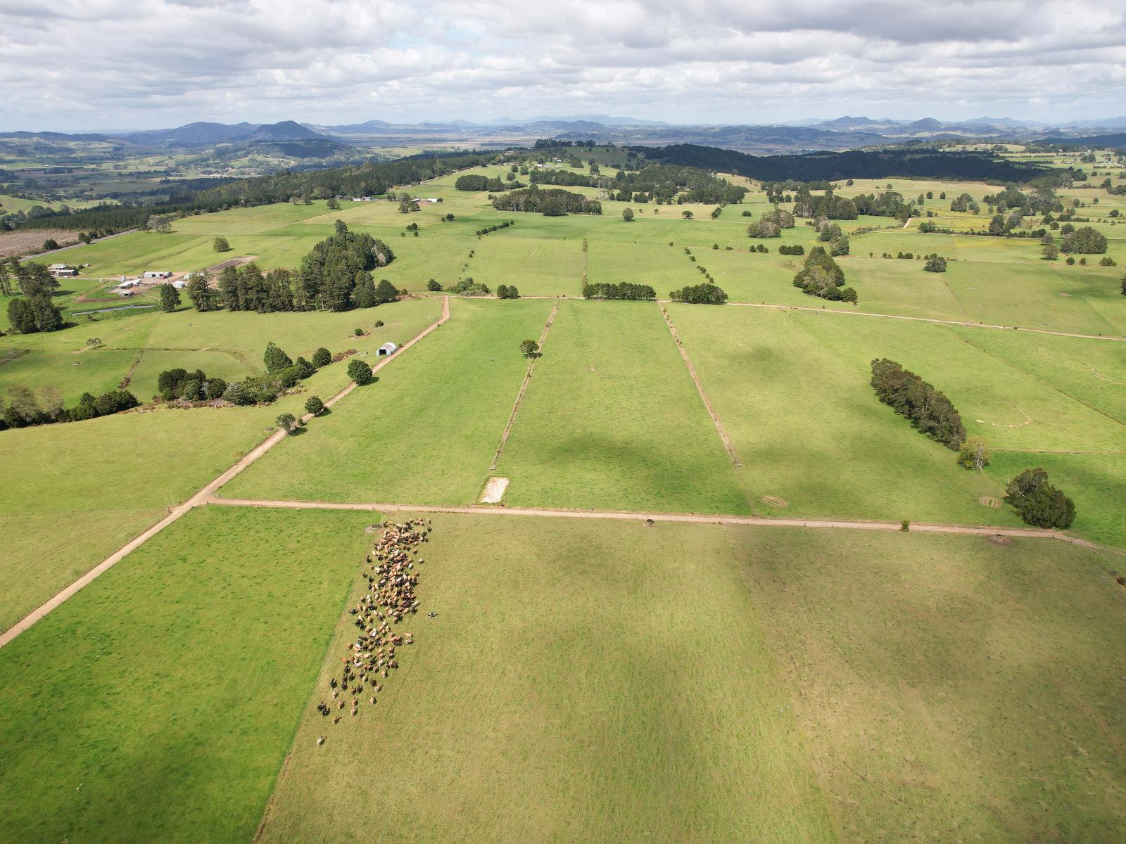 503 Puhipuhi Road, Whakapara