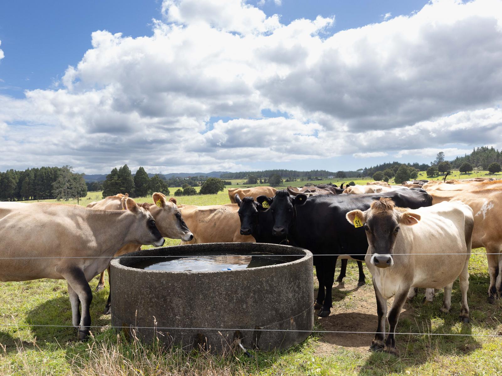 503 Puhipuhi Road, Whakapara