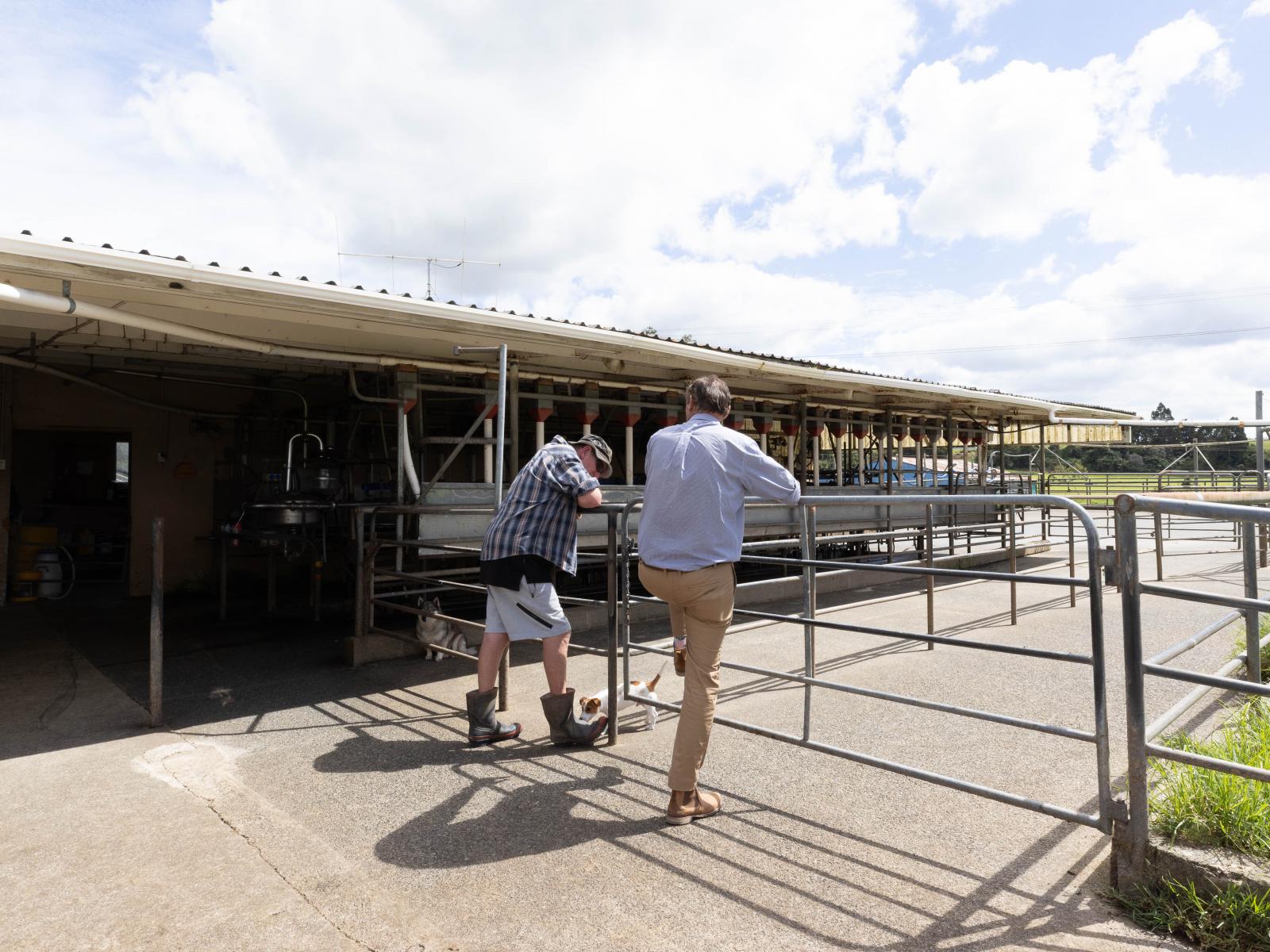 503 Puhipuhi Road, Whakapara