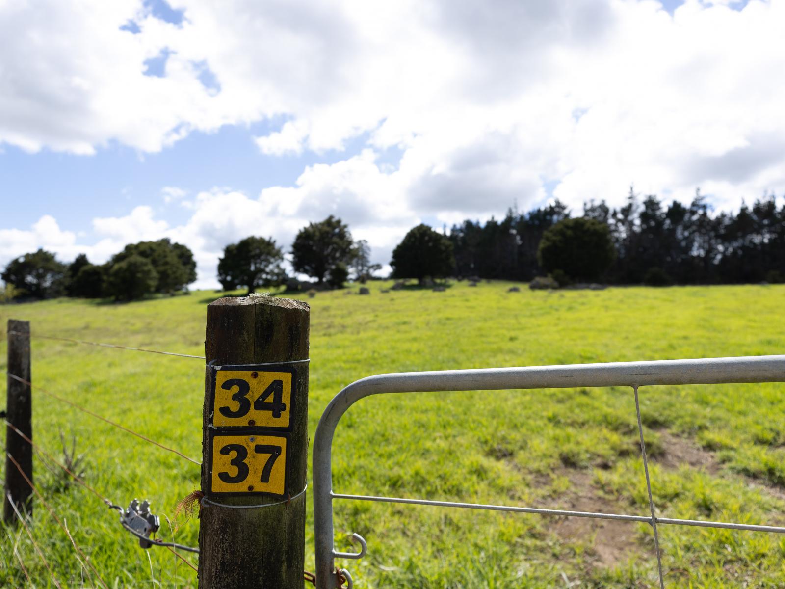 503 Puhipuhi Road, Whakapara
