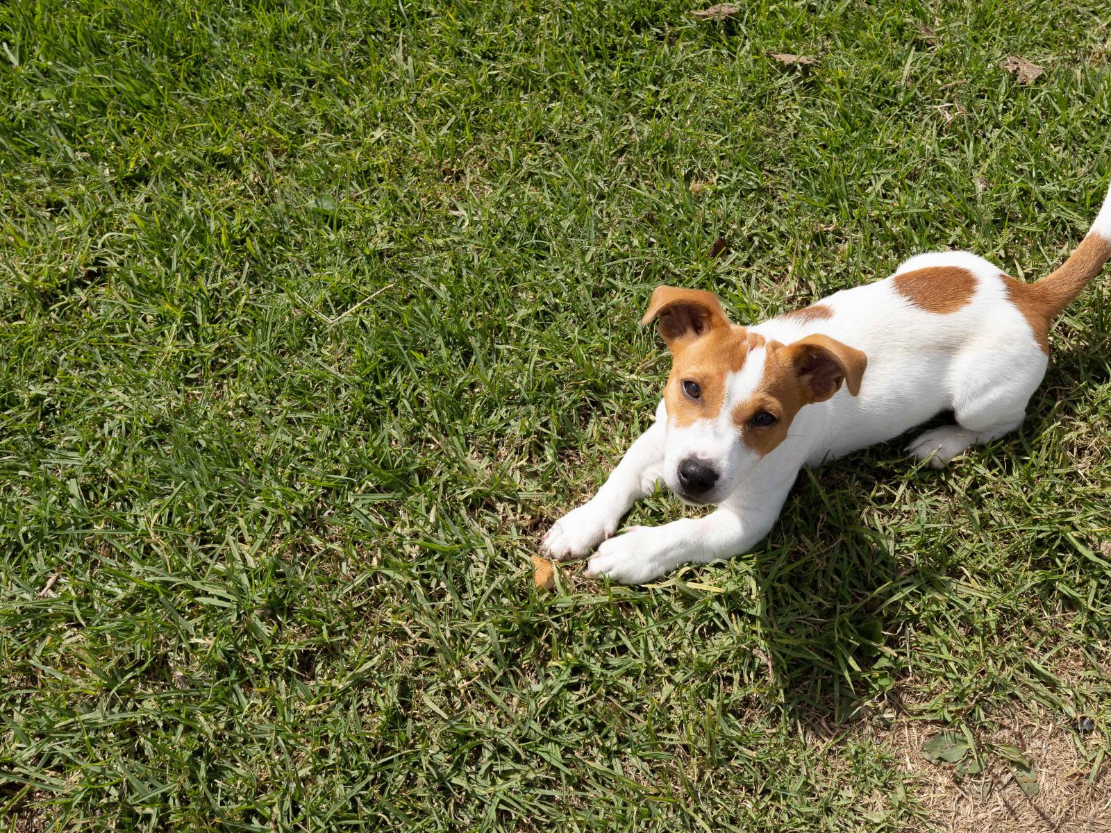 503 Puhipuhi Road, Whakapara