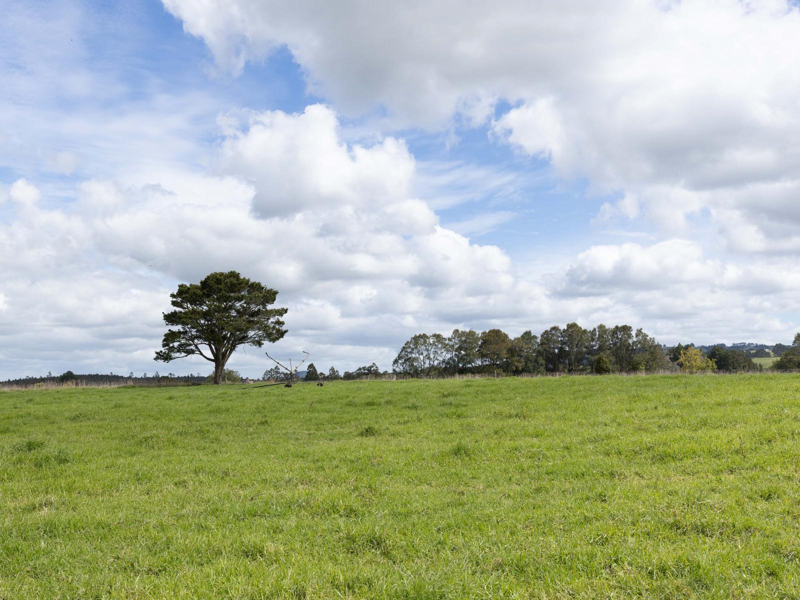 503 Puhipuhi Road, Whakapara