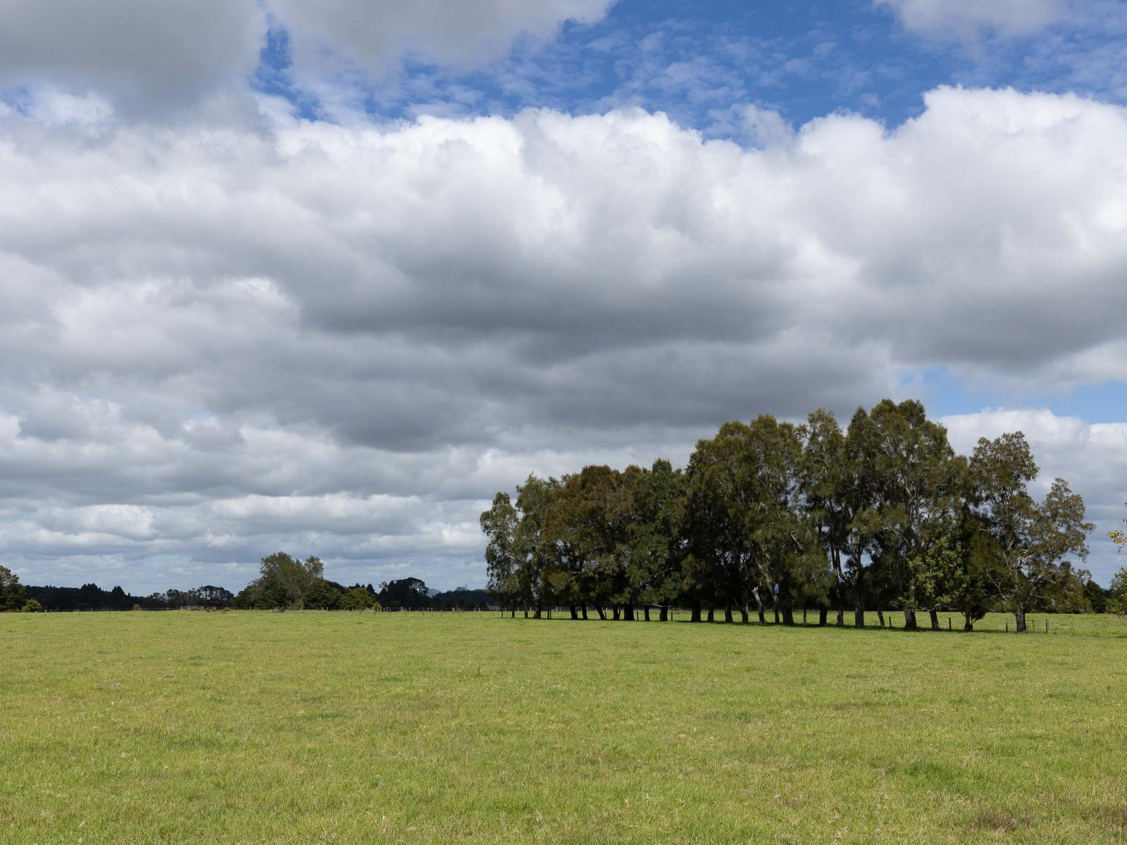 503 Puhipuhi Road, Whakapara