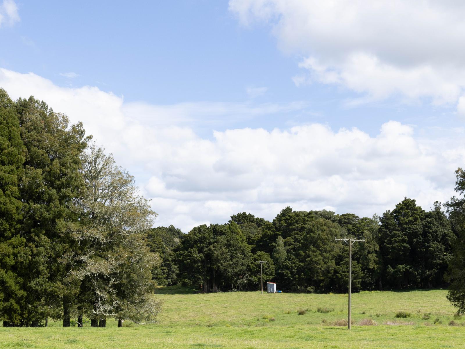 503 Puhipuhi Road, Whakapara