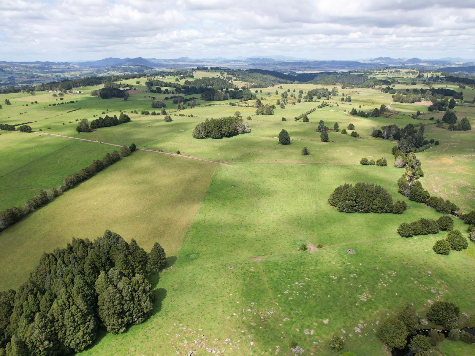 503 Puhipuhi Road, Whakapara