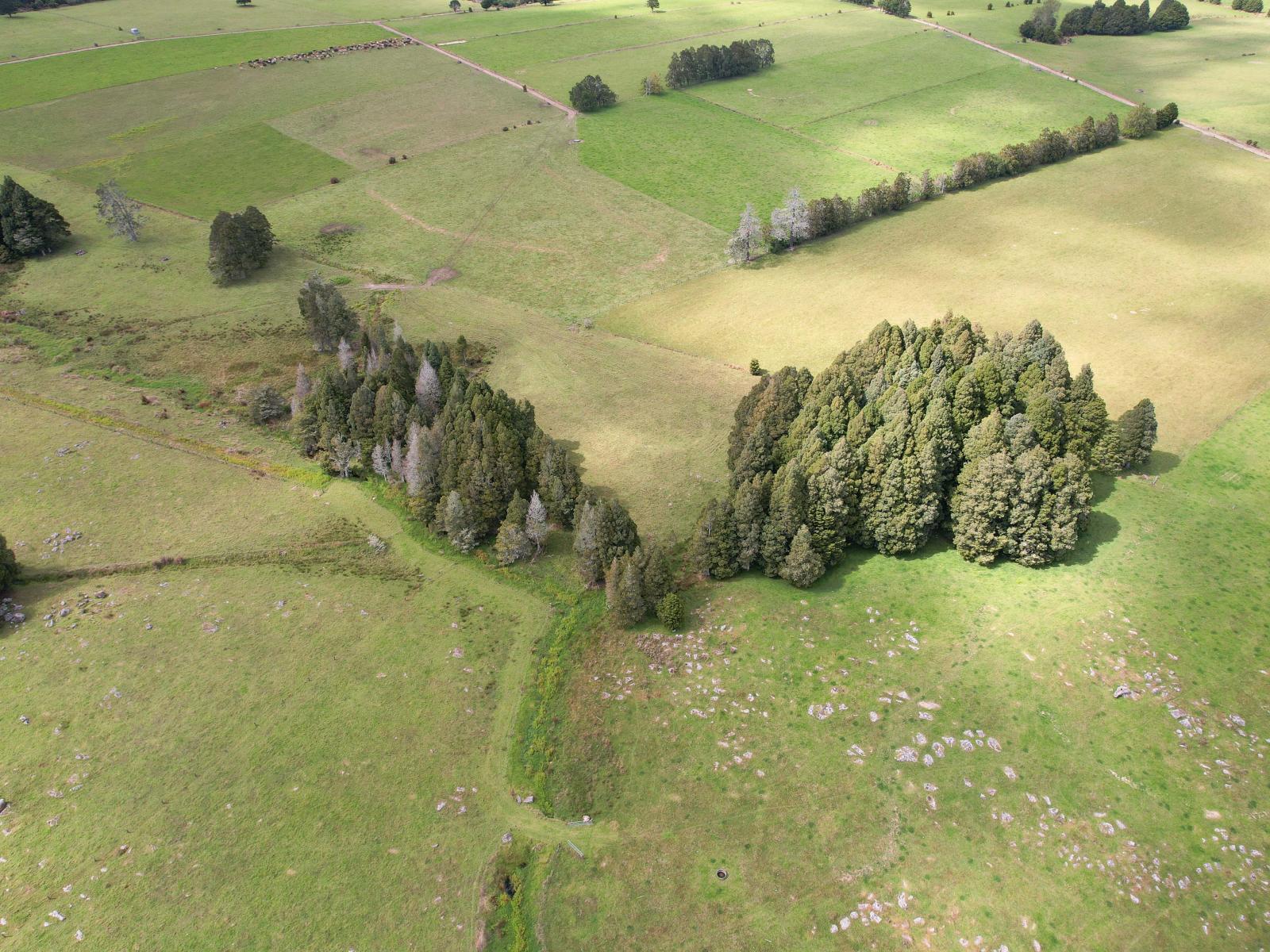 503 Puhipuhi Road, Whakapara