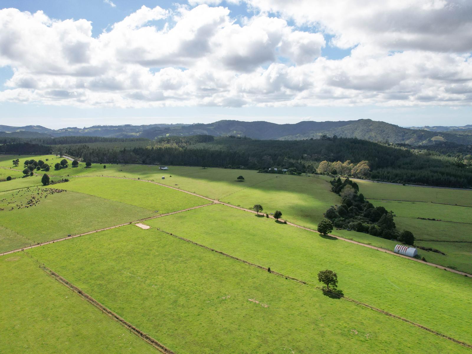 503 Puhipuhi Road, Whakapara