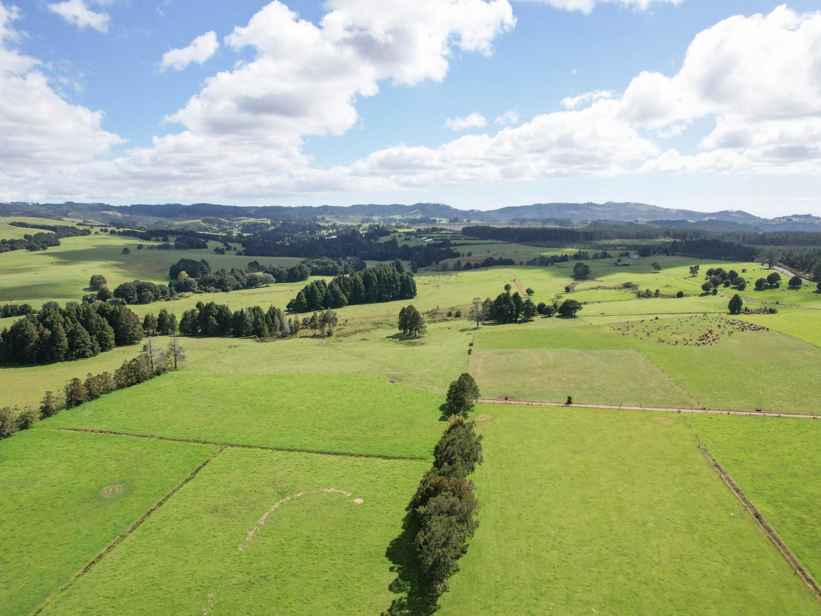 503 Puhipuhi Road, Whakapara