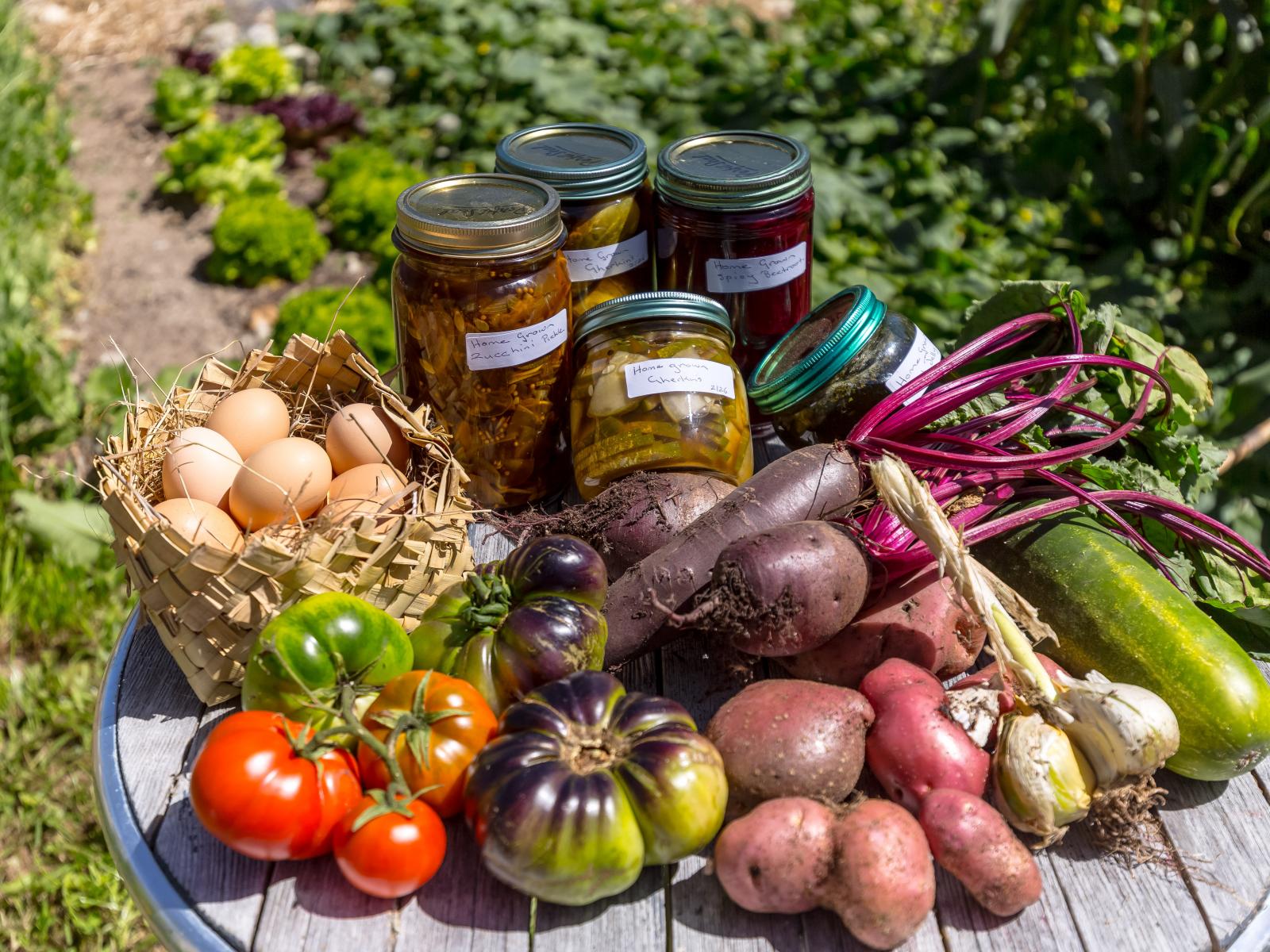 2010 Te Wharau Road, Te Wharau