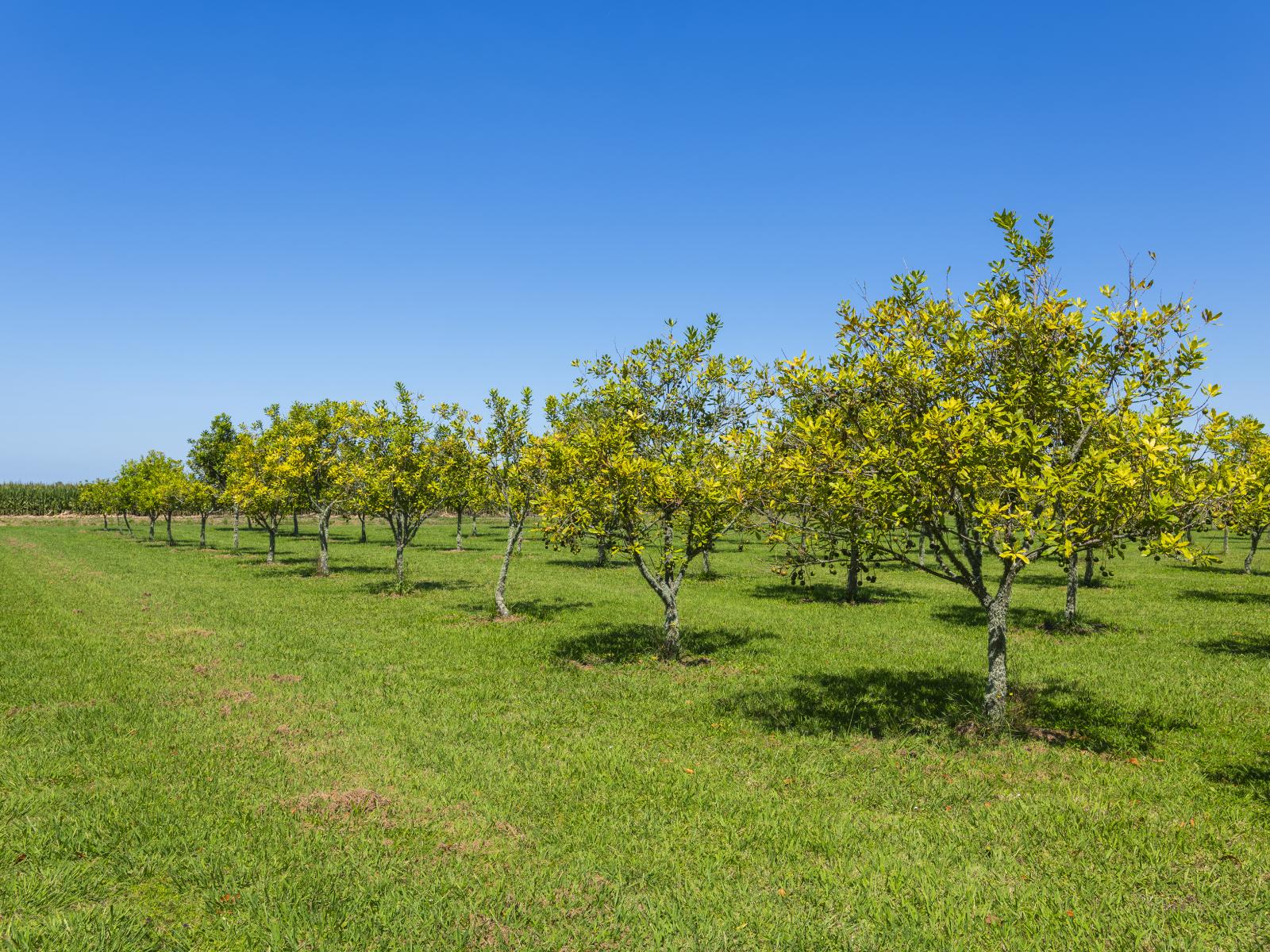 136A Main Road, Makaraka