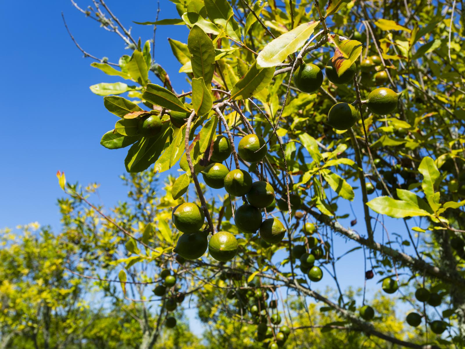 136A Main Road, Makaraka