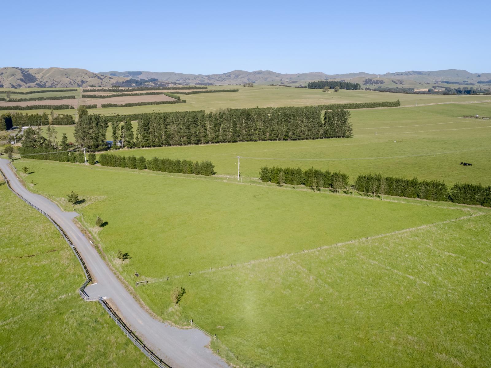 50 Phelps Way, Morisons Bush