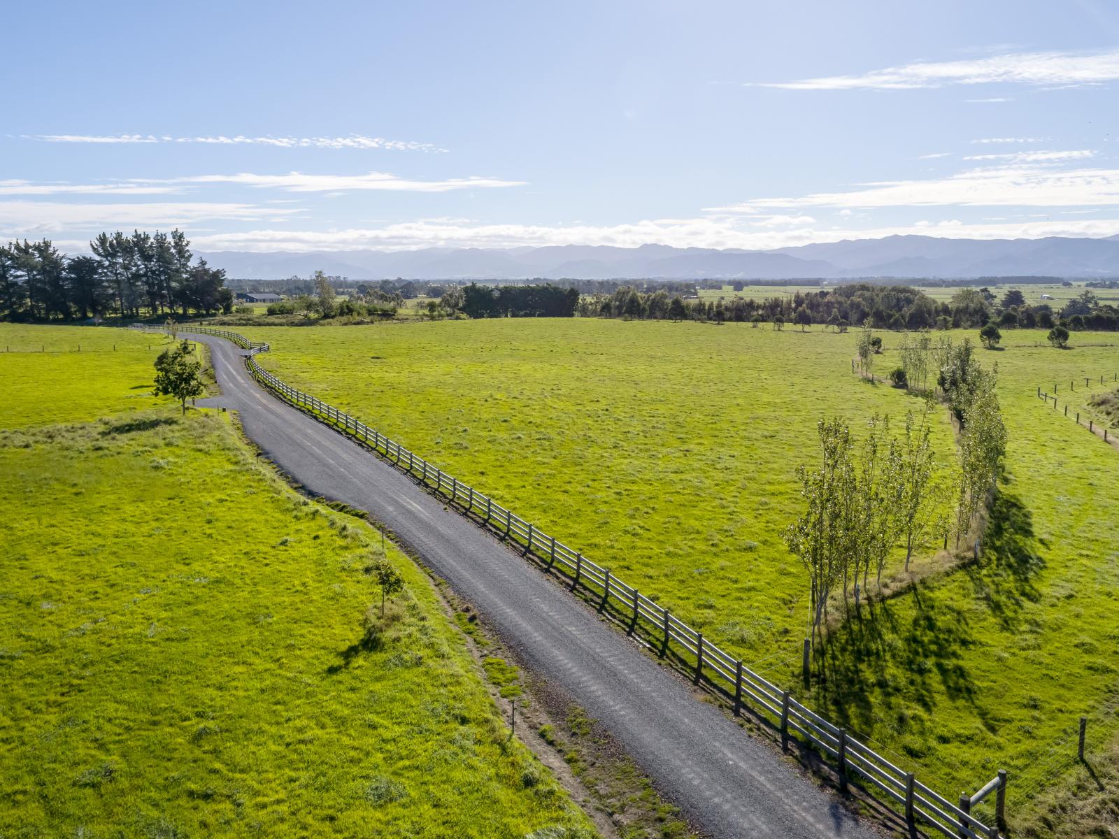 50 Phelps Way, Morisons Bush