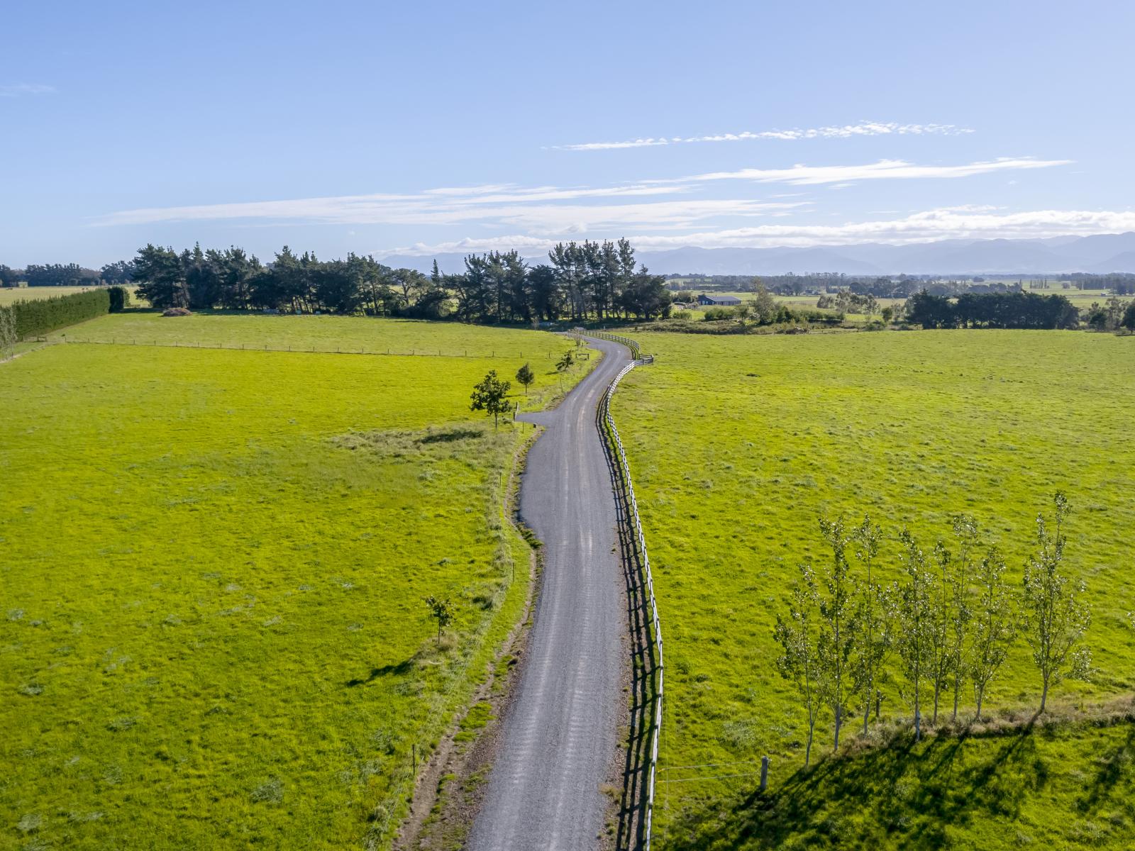 50 Phelps Way, Morisons Bush