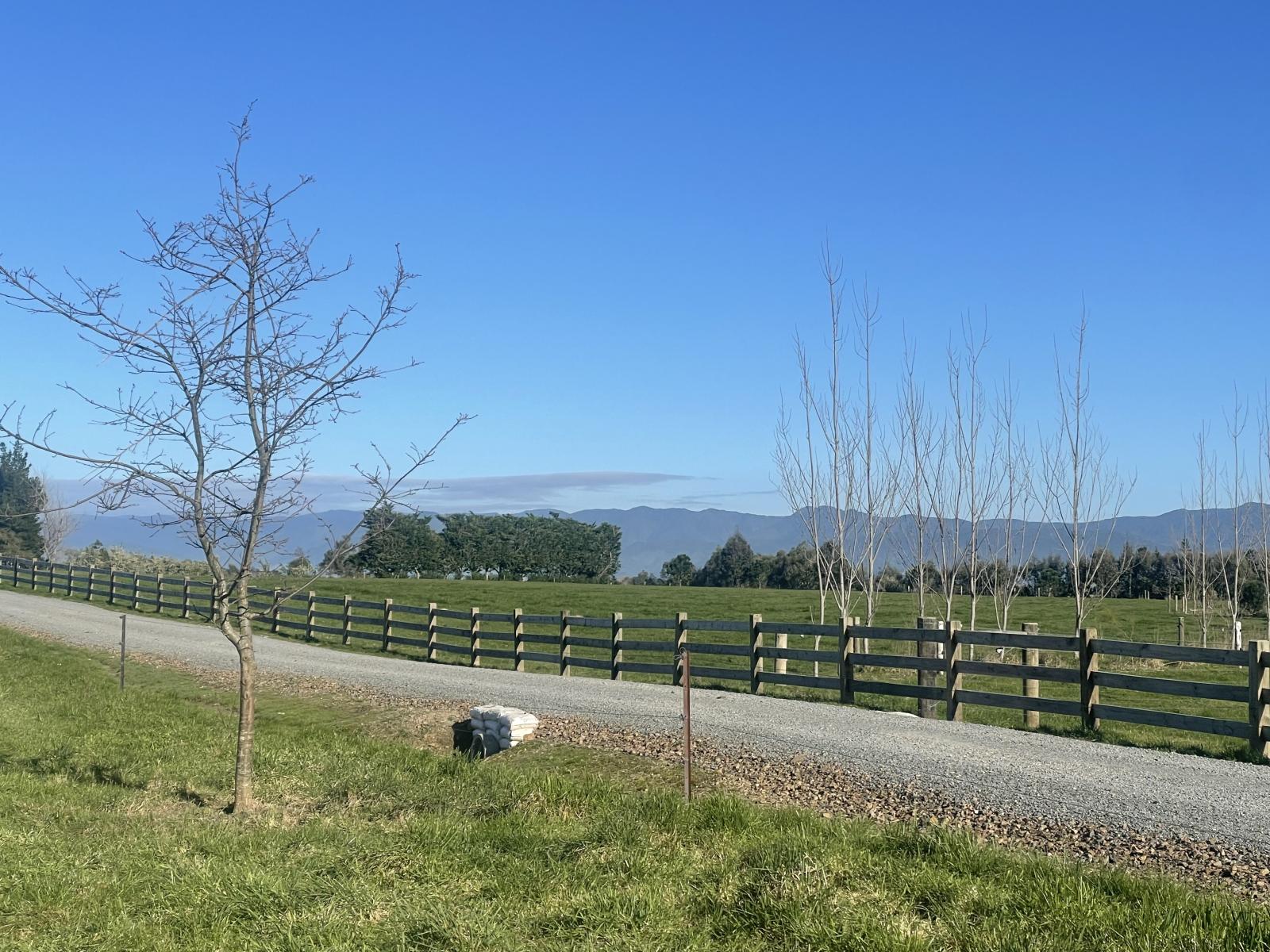 50 Phelps Way, Morisons Bush